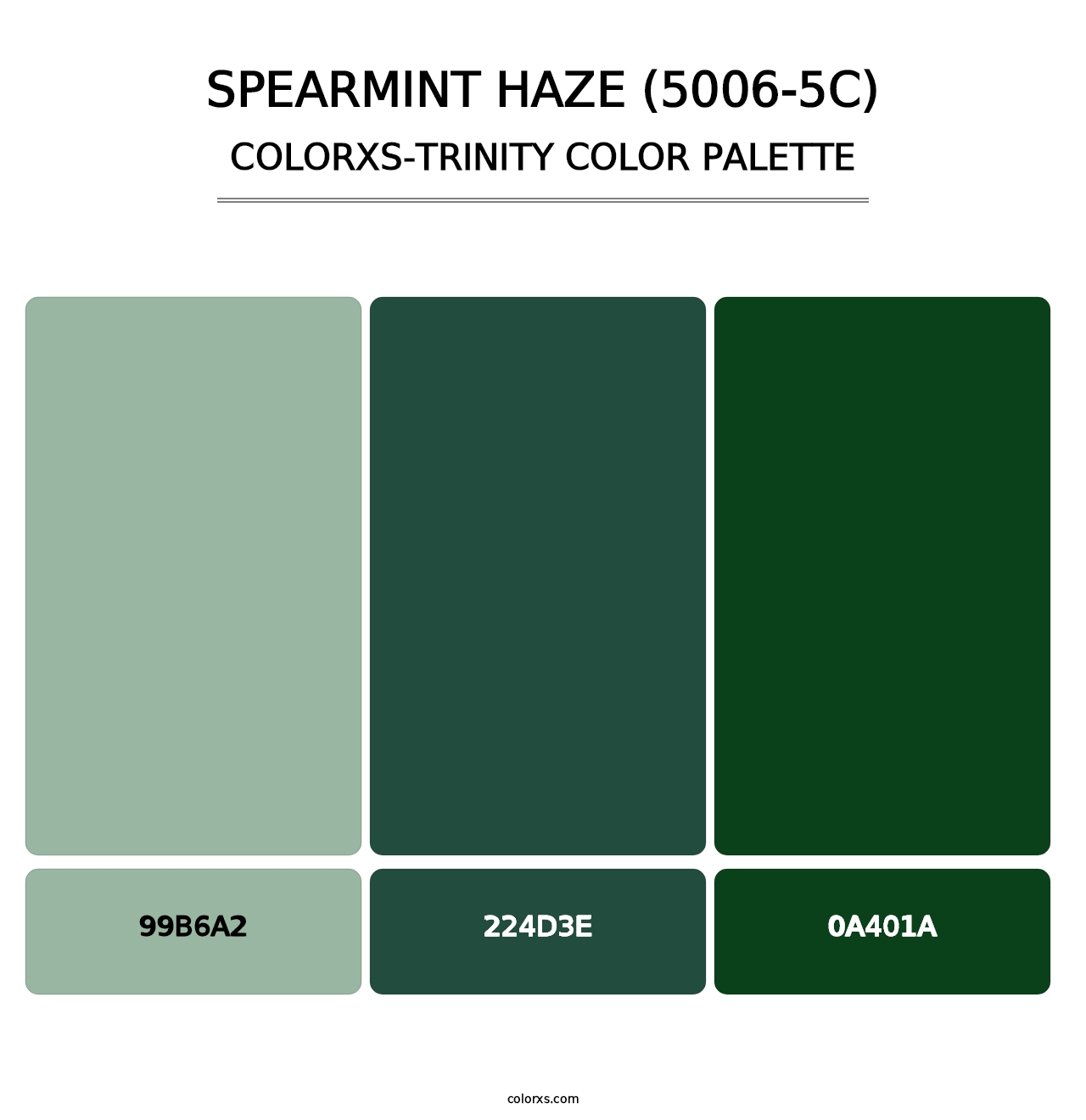 Spearmint Haze (5006-5C) - Colorxs Trinity Palette