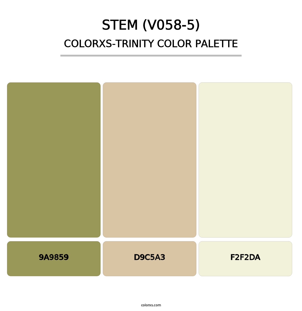 Stem (V058-5) - Colorxs Trinity Palette