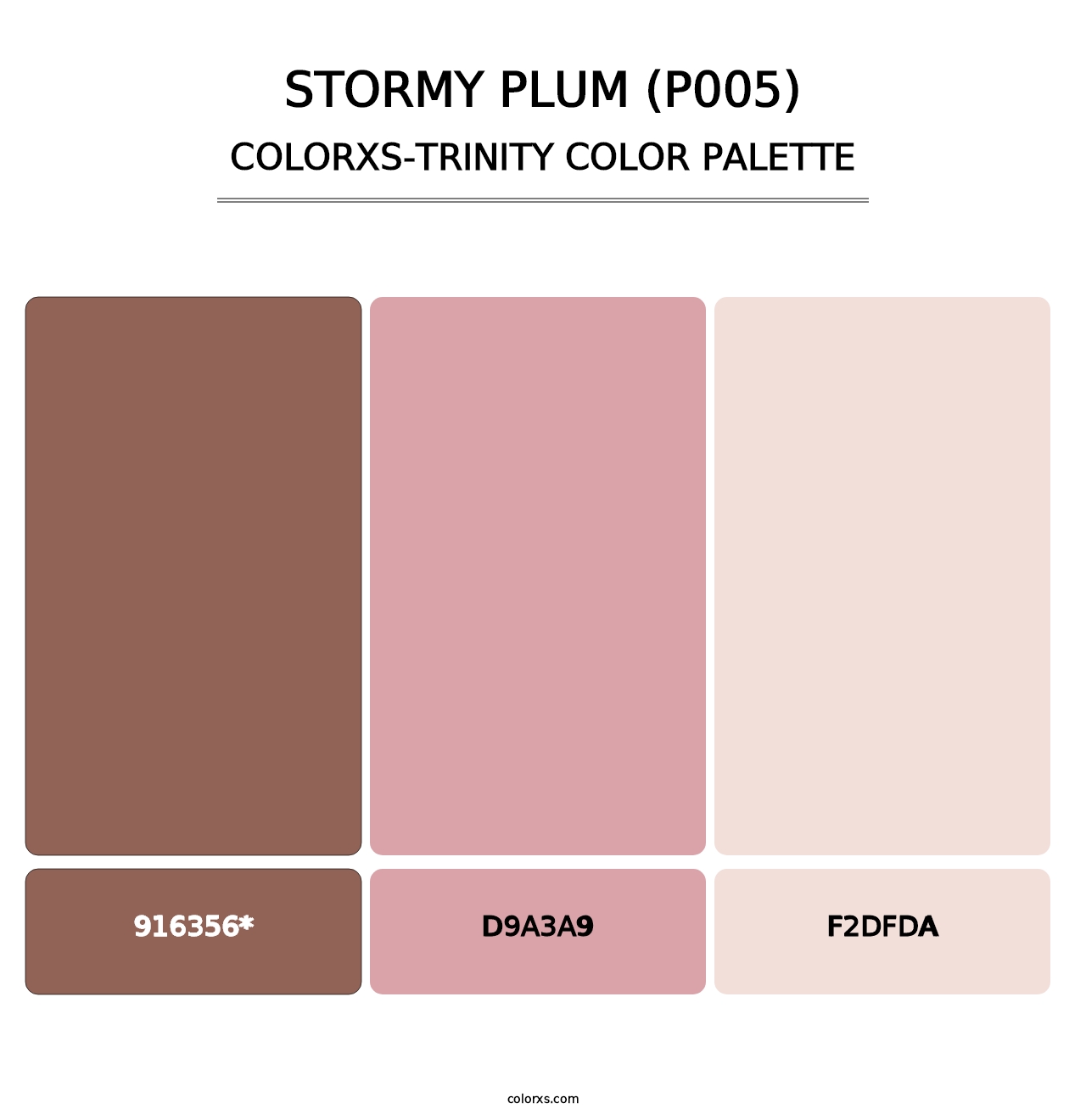 Stormy Plum (P005) - Colorxs Trinity Palette