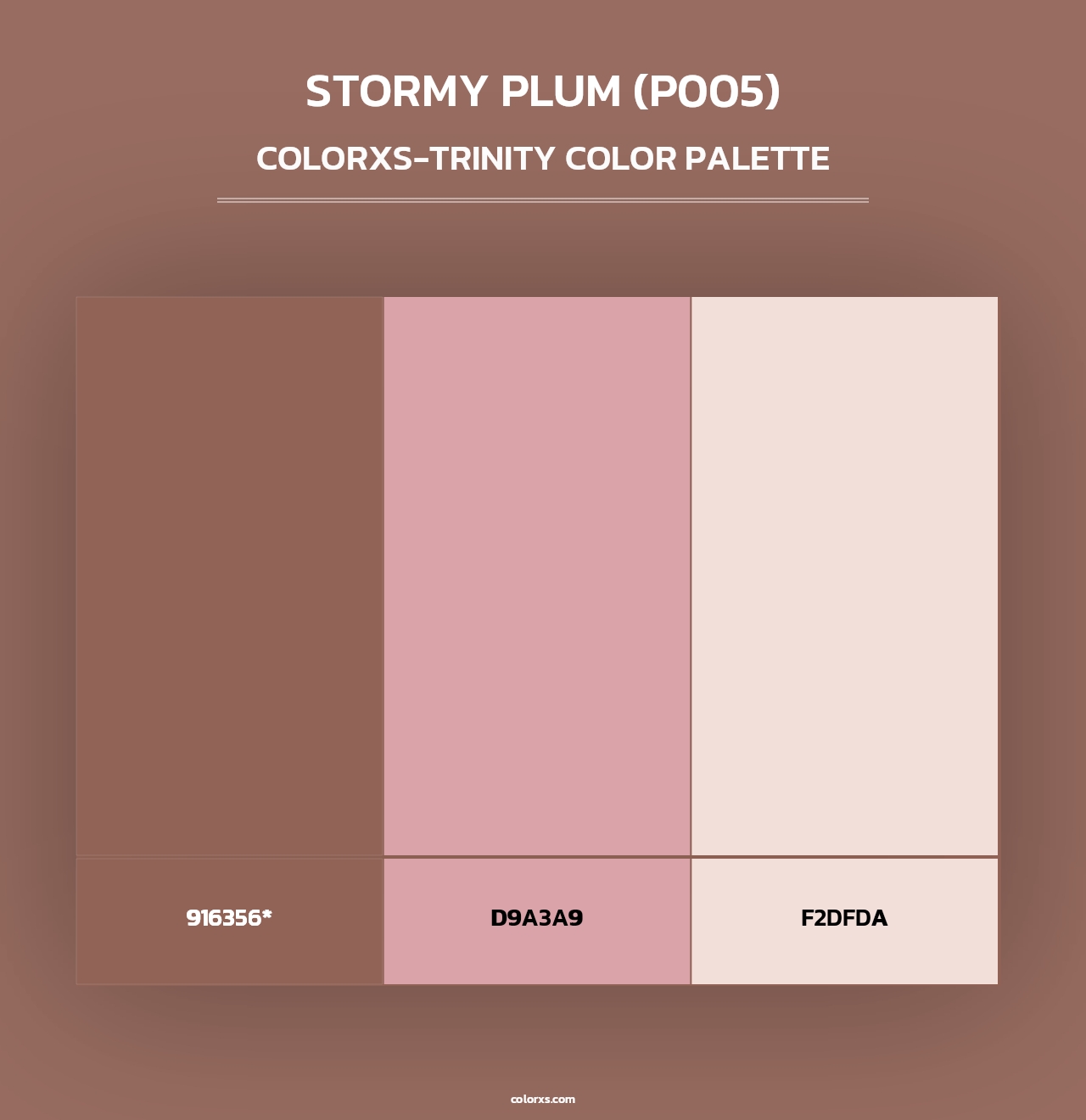 Stormy Plum (P005) - Colorxs Trinity Palette