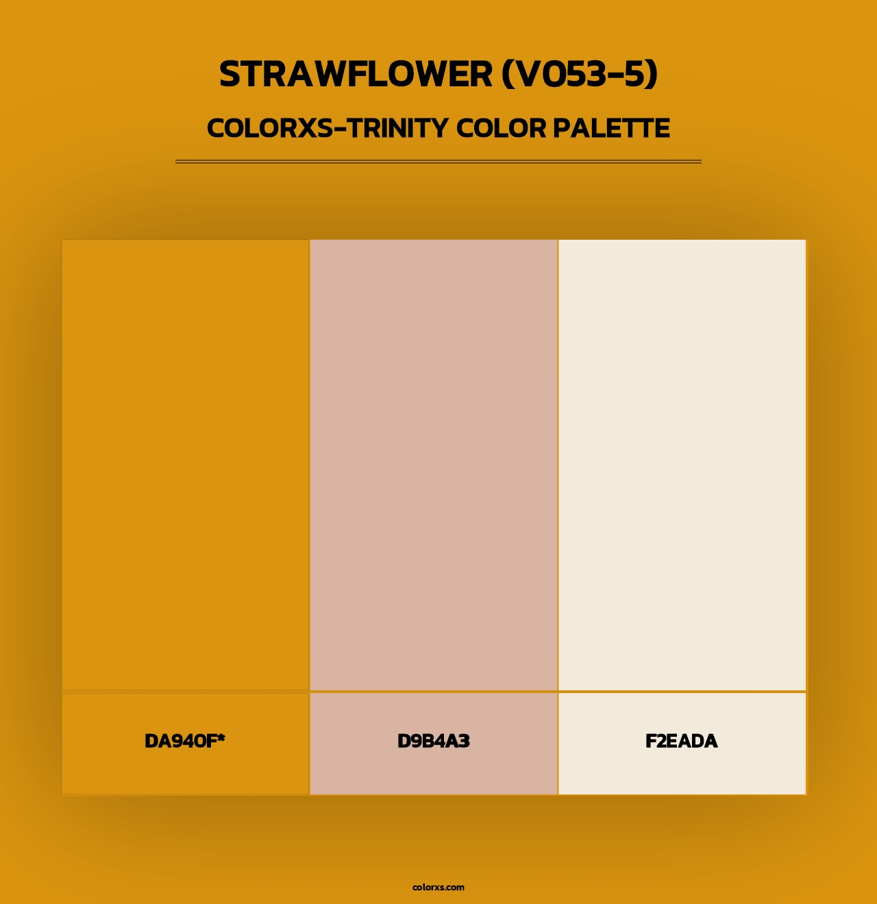 Strawflower (V053-5) - Colorxs Trinity Palette