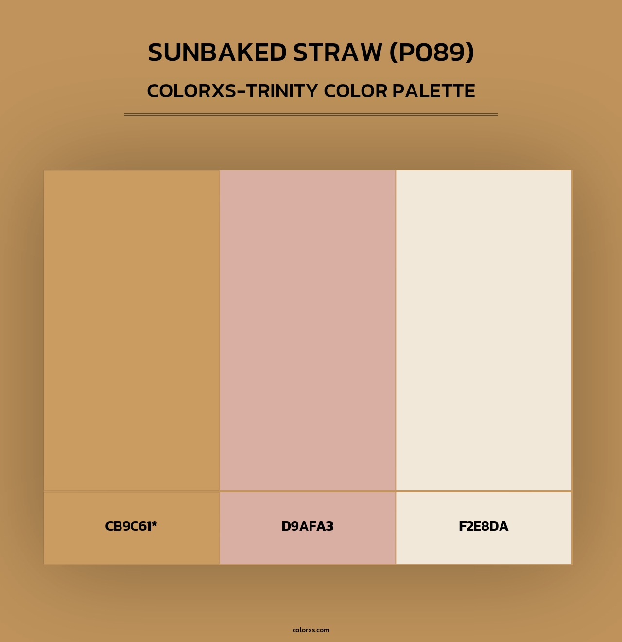 Sunbaked Straw (P089) - Colorxs Trinity Palette