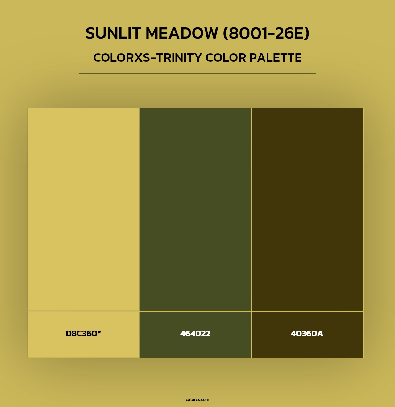 Sunlit Meadow (8001-26E) - Colorxs Trinity Palette