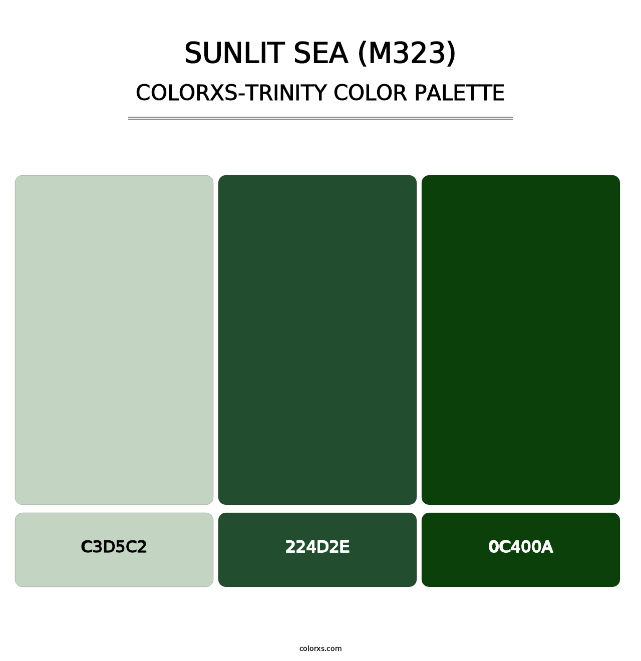 Sunlit Sea (M323) - Colorxs Trinity Palette