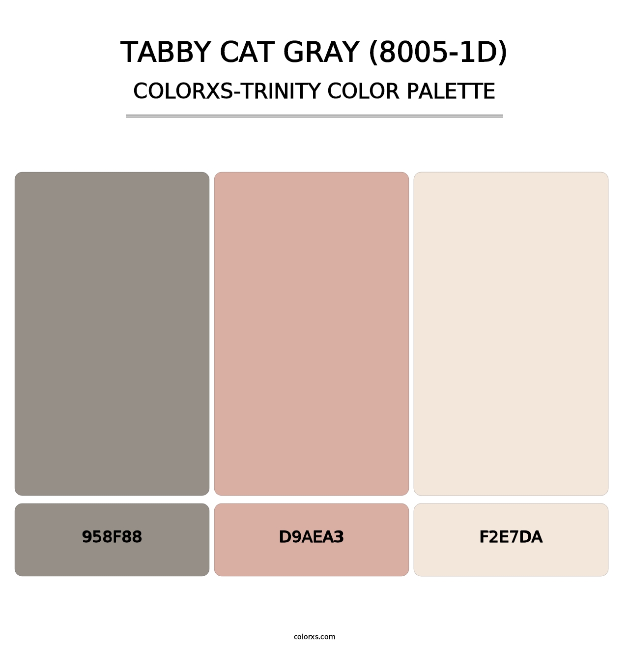 Tabby Cat Gray (8005-1D) - Colorxs Trinity Palette