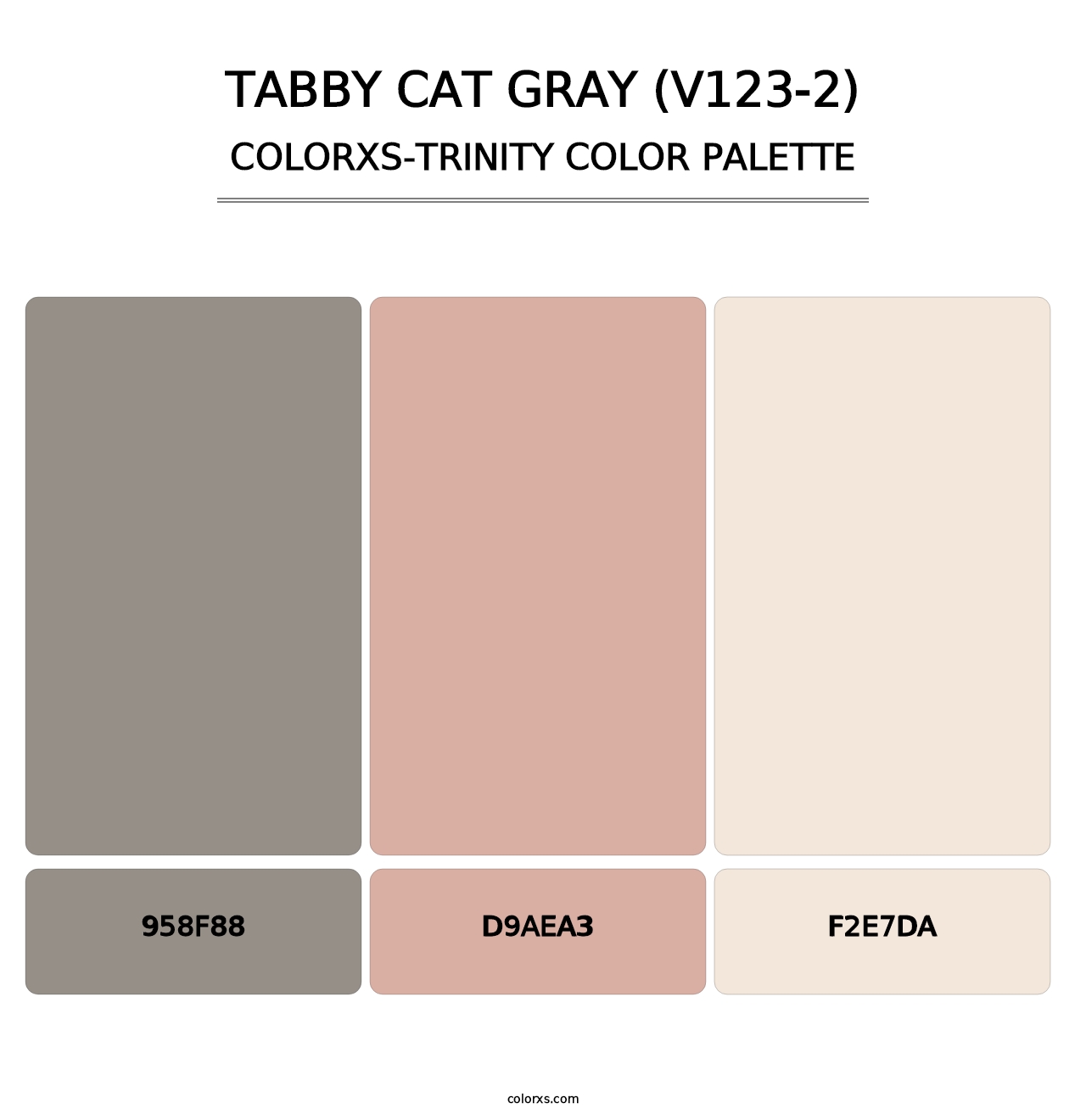 Tabby Cat Gray (V123-2) - Colorxs Trinity Palette