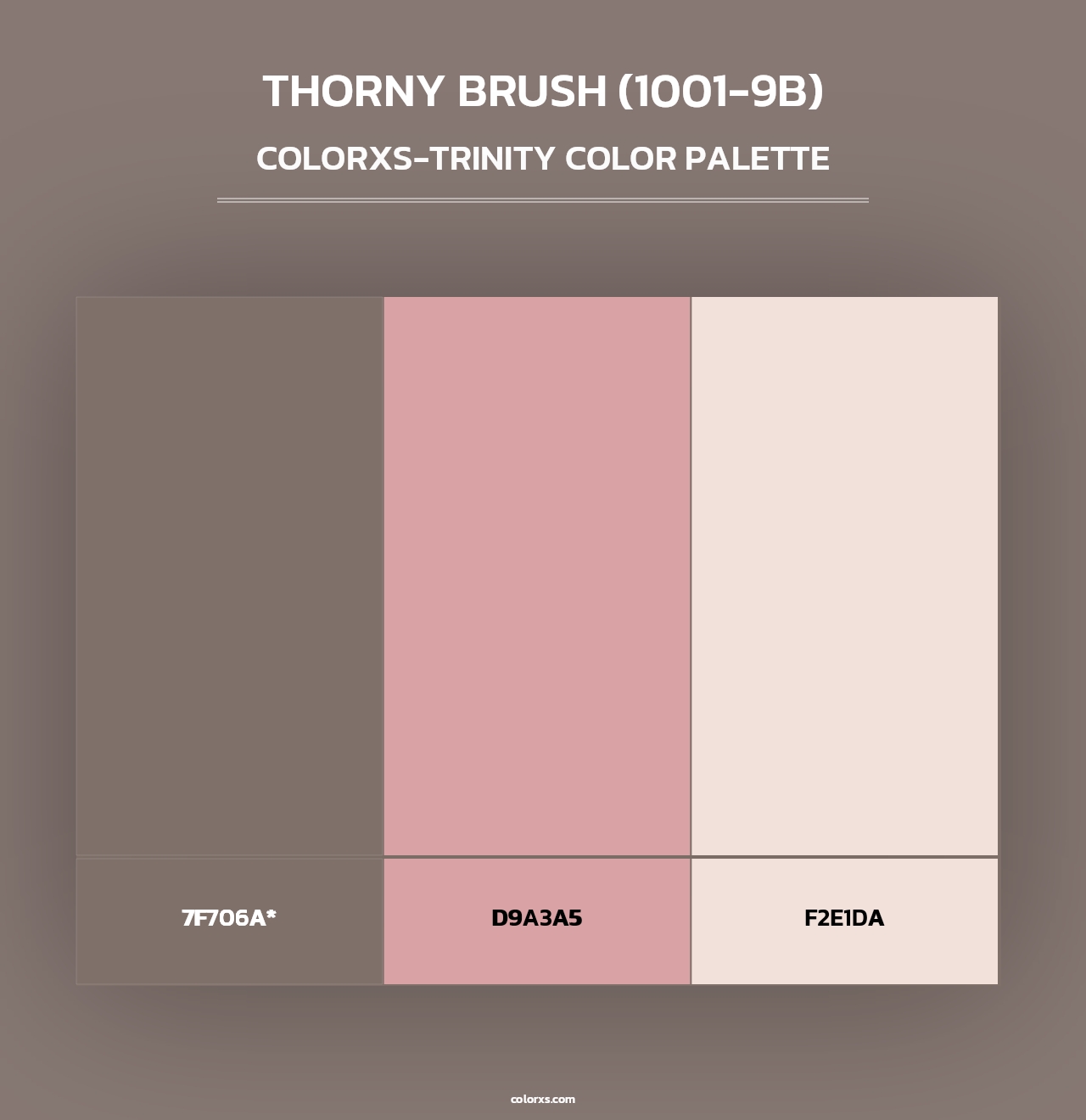 Thorny Brush (1001-9B) - Colorxs Trinity Palette