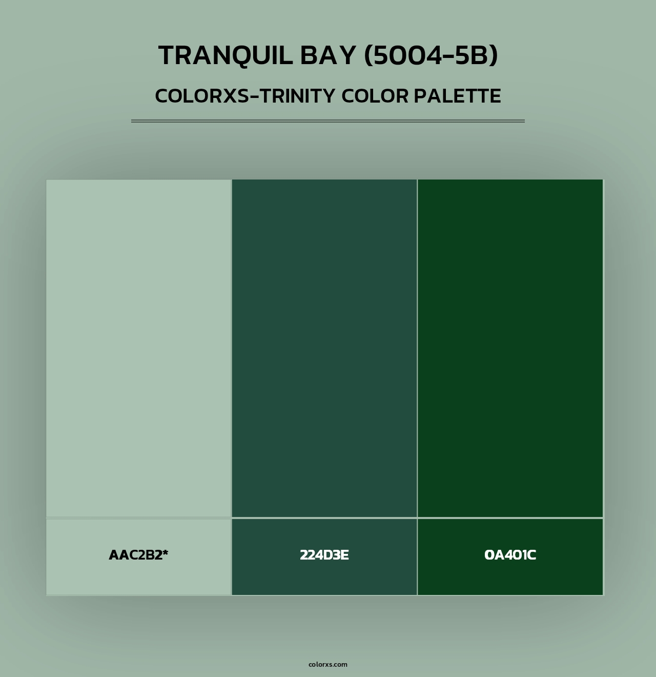 Tranquil Bay (5004-5B) - Colorxs Trinity Palette