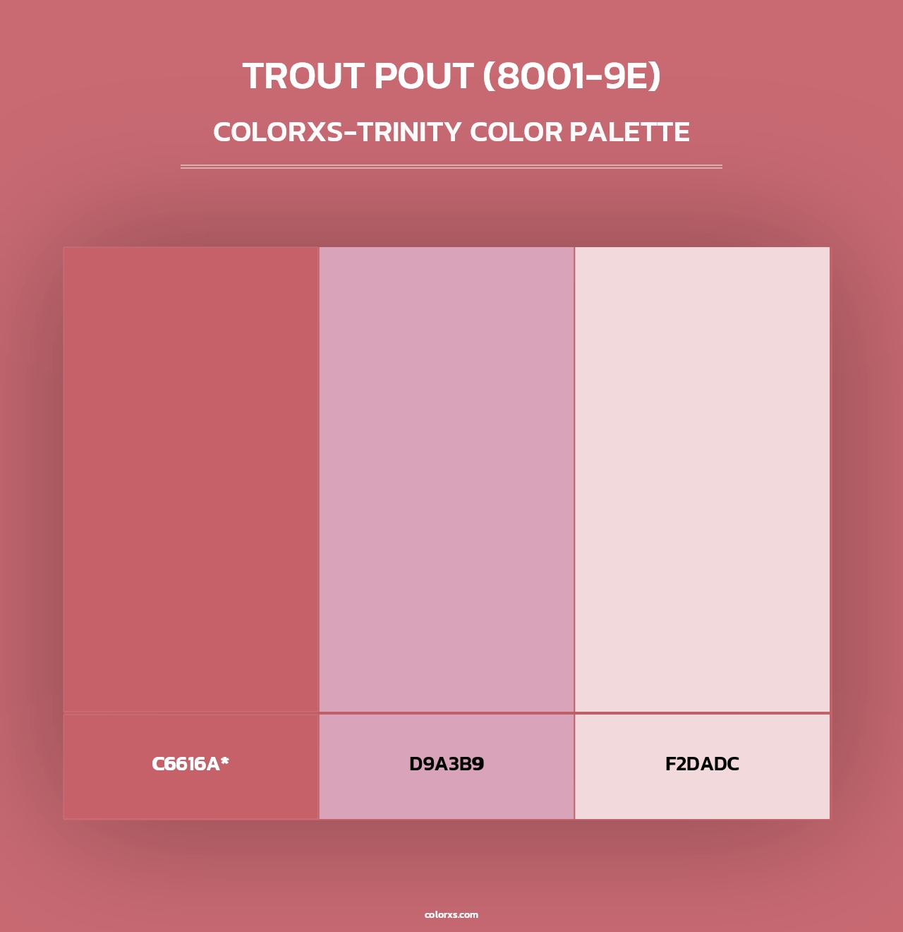 Trout Pout (8001-9E) - Colorxs Trinity Palette