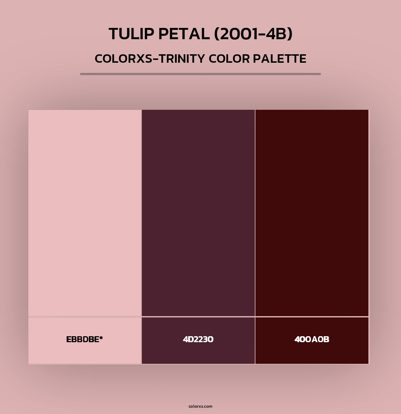 Tulip Petal (2001-4B) - Colorxs Trinity Palette