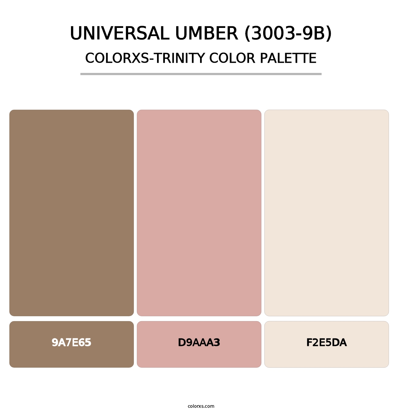 Universal Umber (3003-9B) - Colorxs Trinity Palette