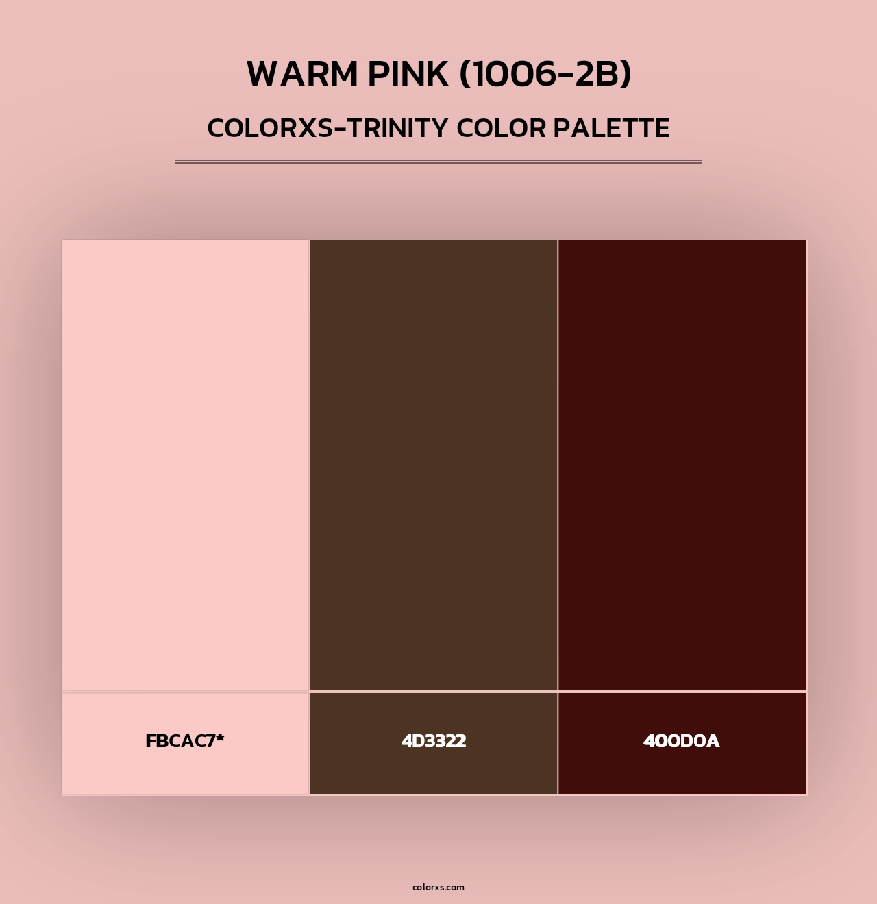 Warm Pink (1006-2B) - Colorxs Trinity Palette