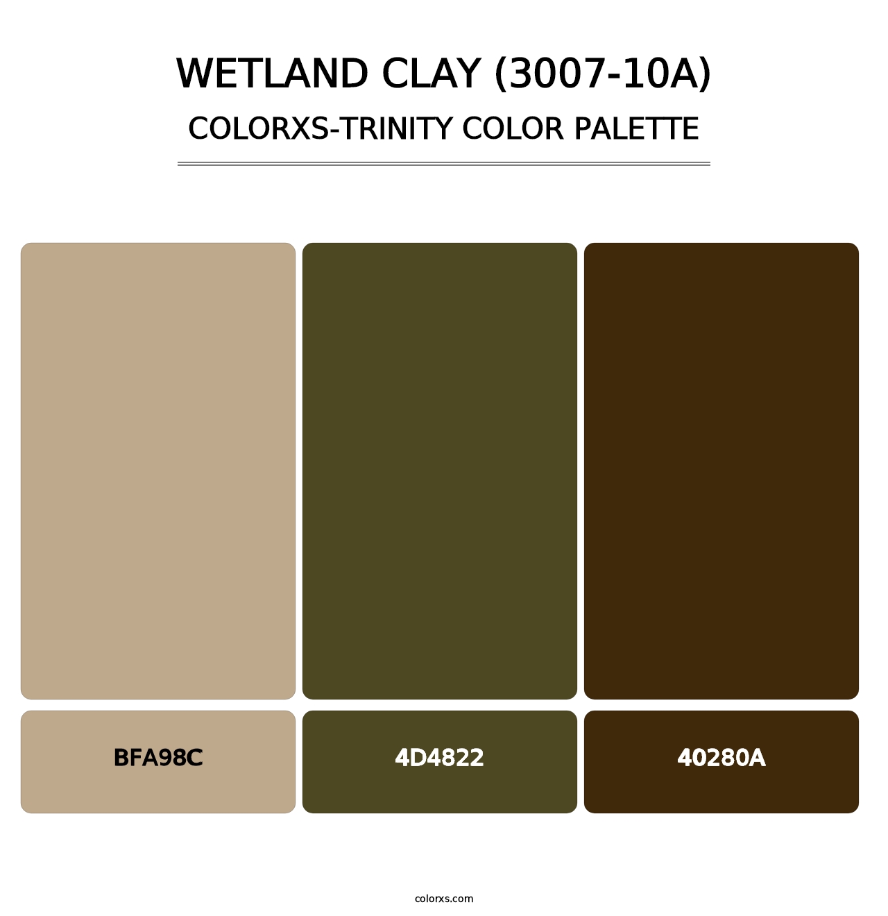 Wetland Clay (3007-10A) - Colorxs Trinity Palette