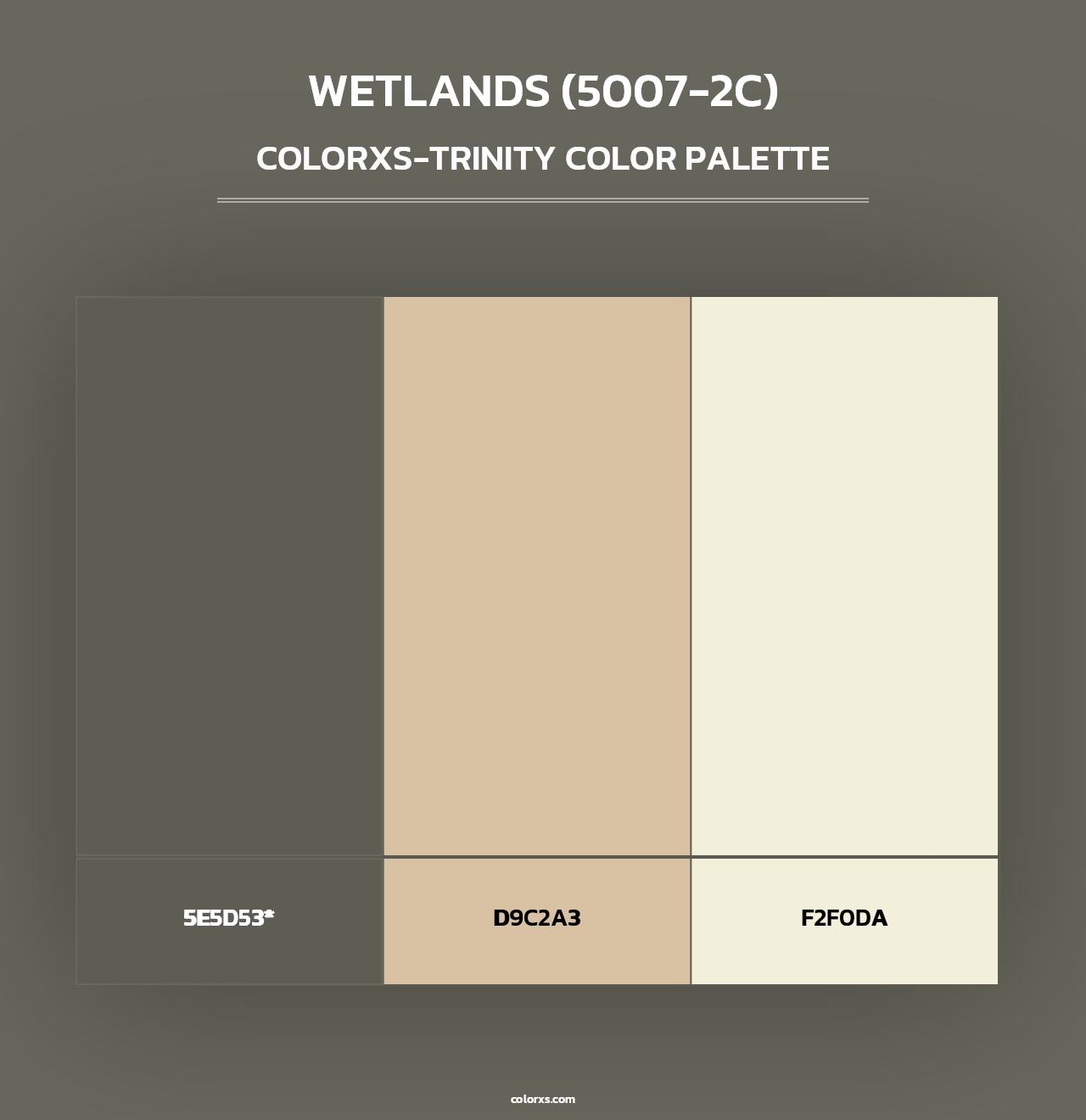 Wetlands (5007-2C) - Colorxs Trinity Palette