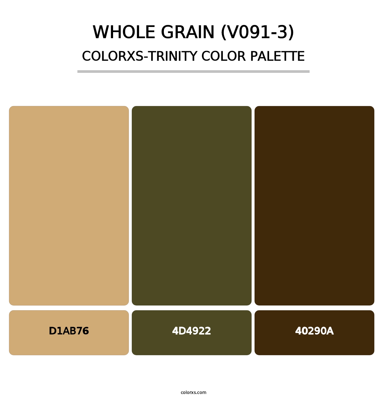 Whole Grain (V091-3) - Colorxs Trinity Palette