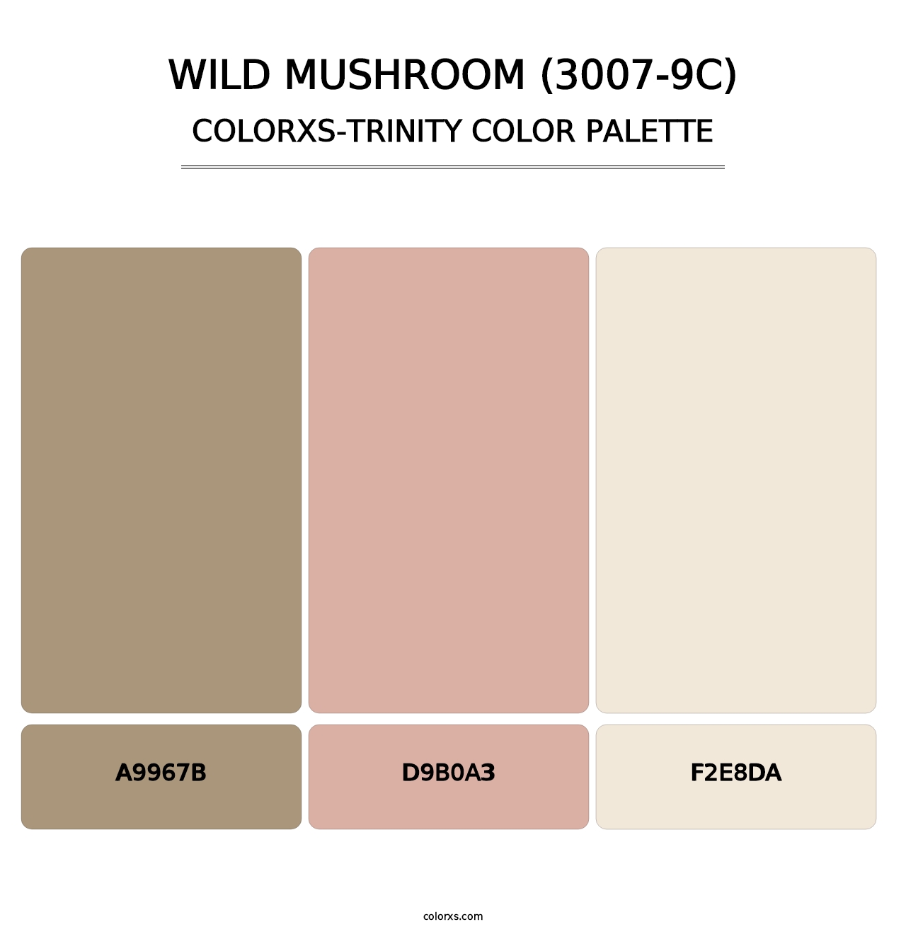 Wild Mushroom (3007-9C) - Colorxs Trinity Palette