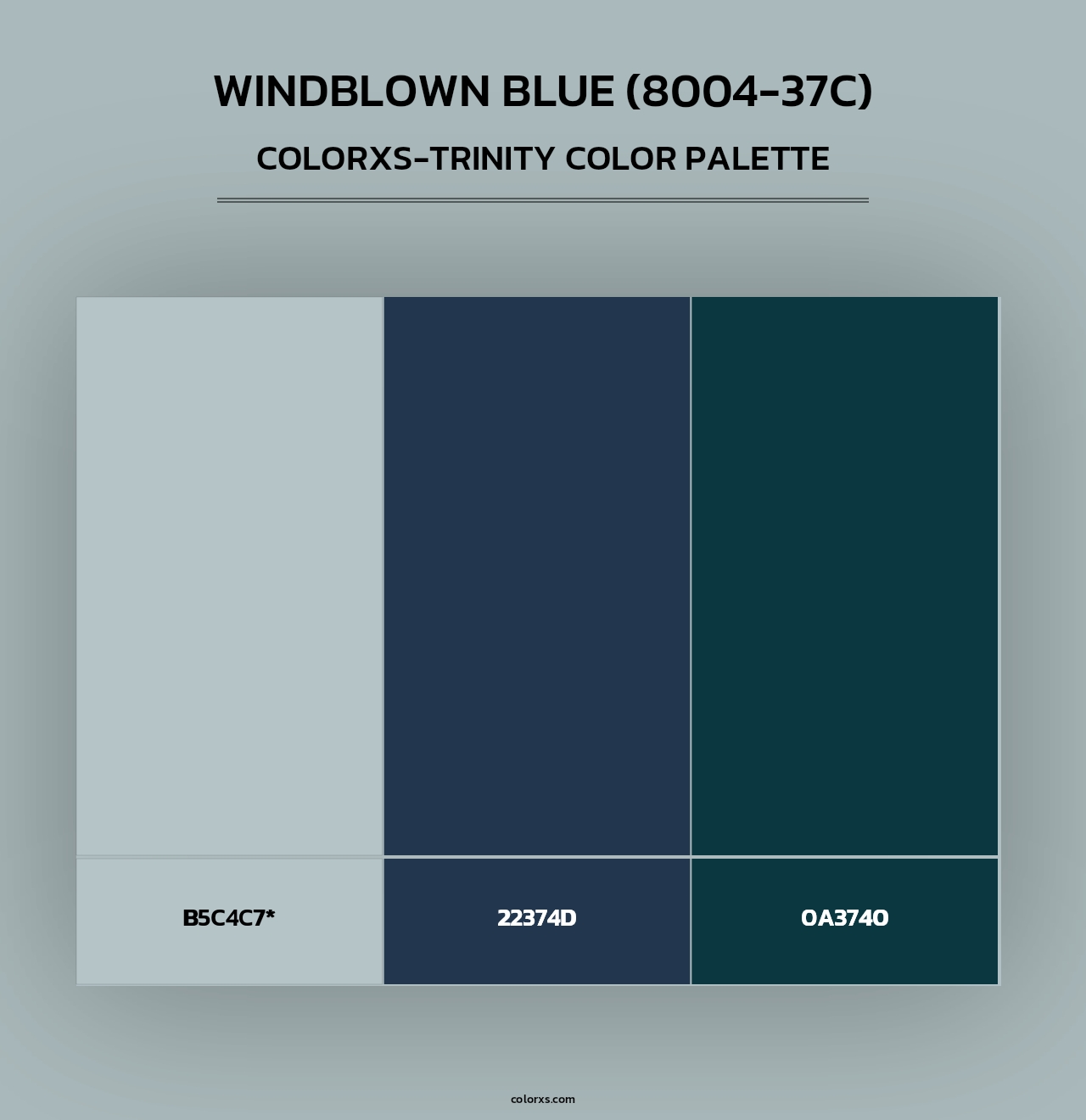 Windblown Blue (8004-37C) - Colorxs Trinity Palette