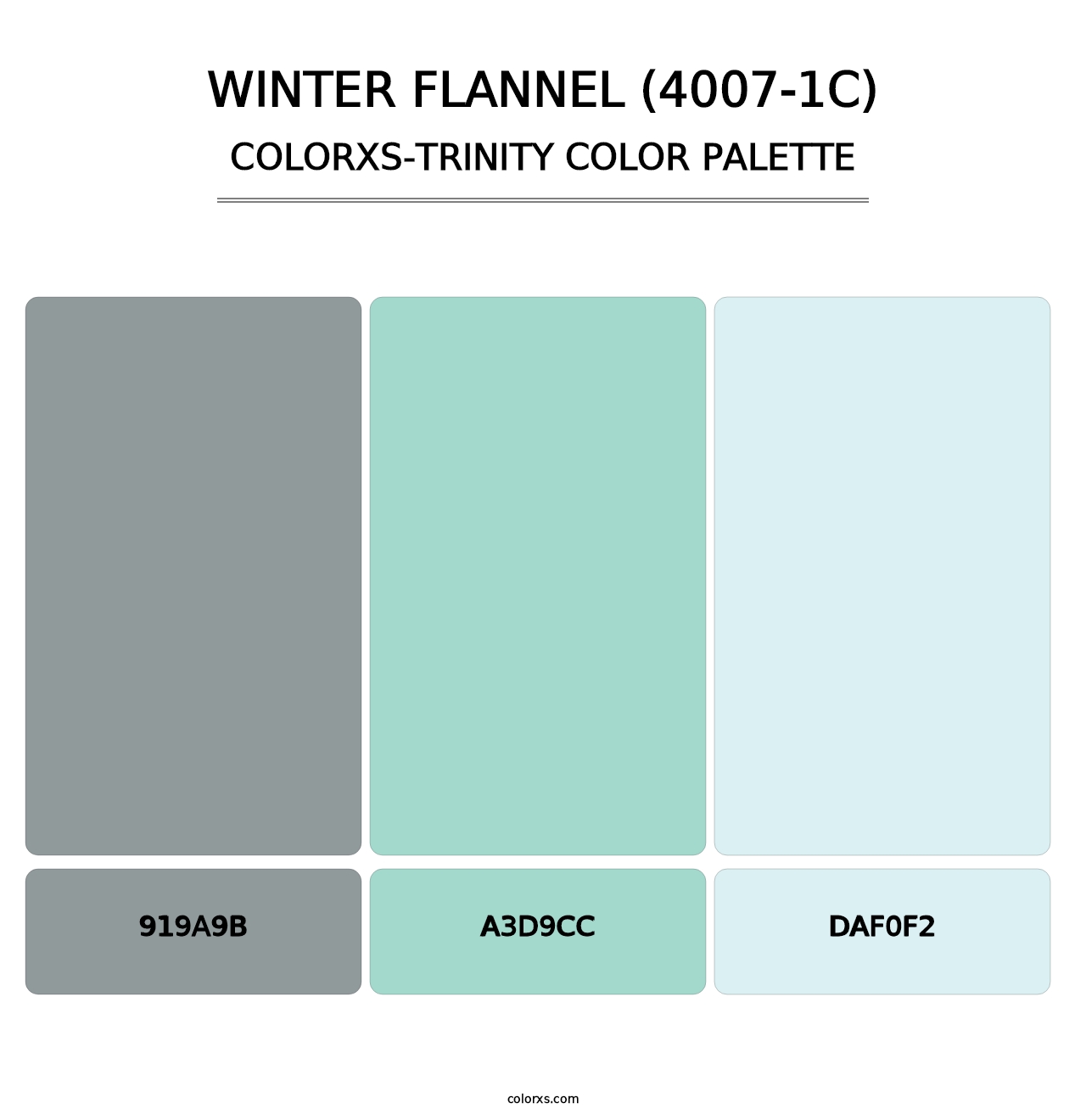 Winter Flannel (4007-1C) - Colorxs Trinity Palette