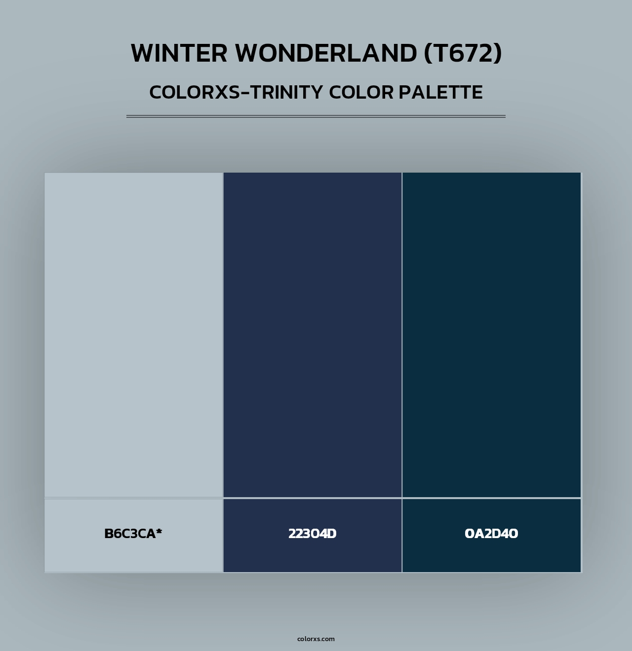 Winter Wonderland (T672) - Colorxs Trinity Palette