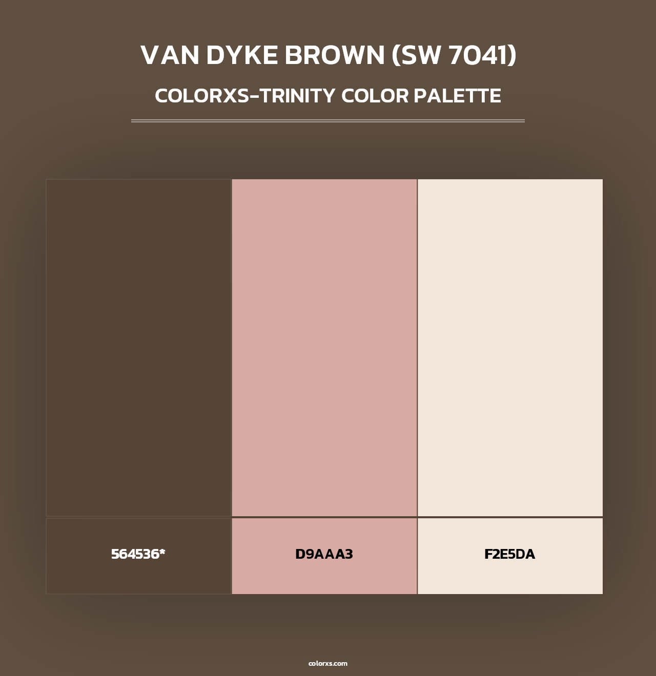Van Dyke Brown (SW 7041) - Colorxs Trinity Palette