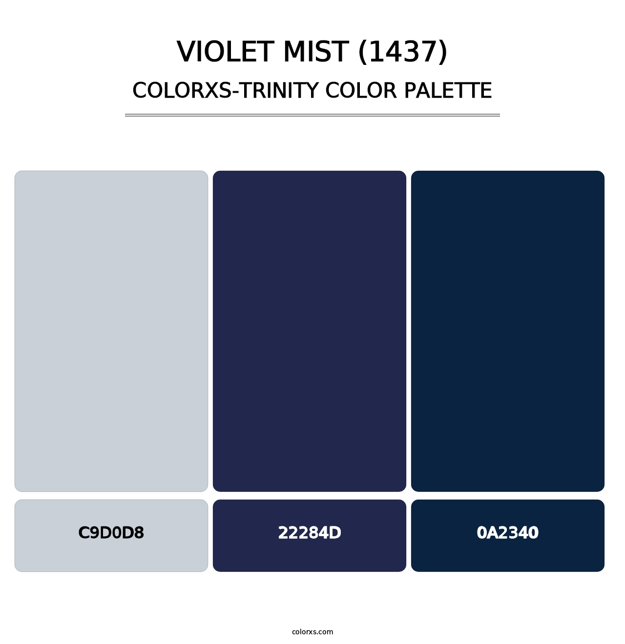 Violet Mist (1437) - Colorxs Trinity Palette