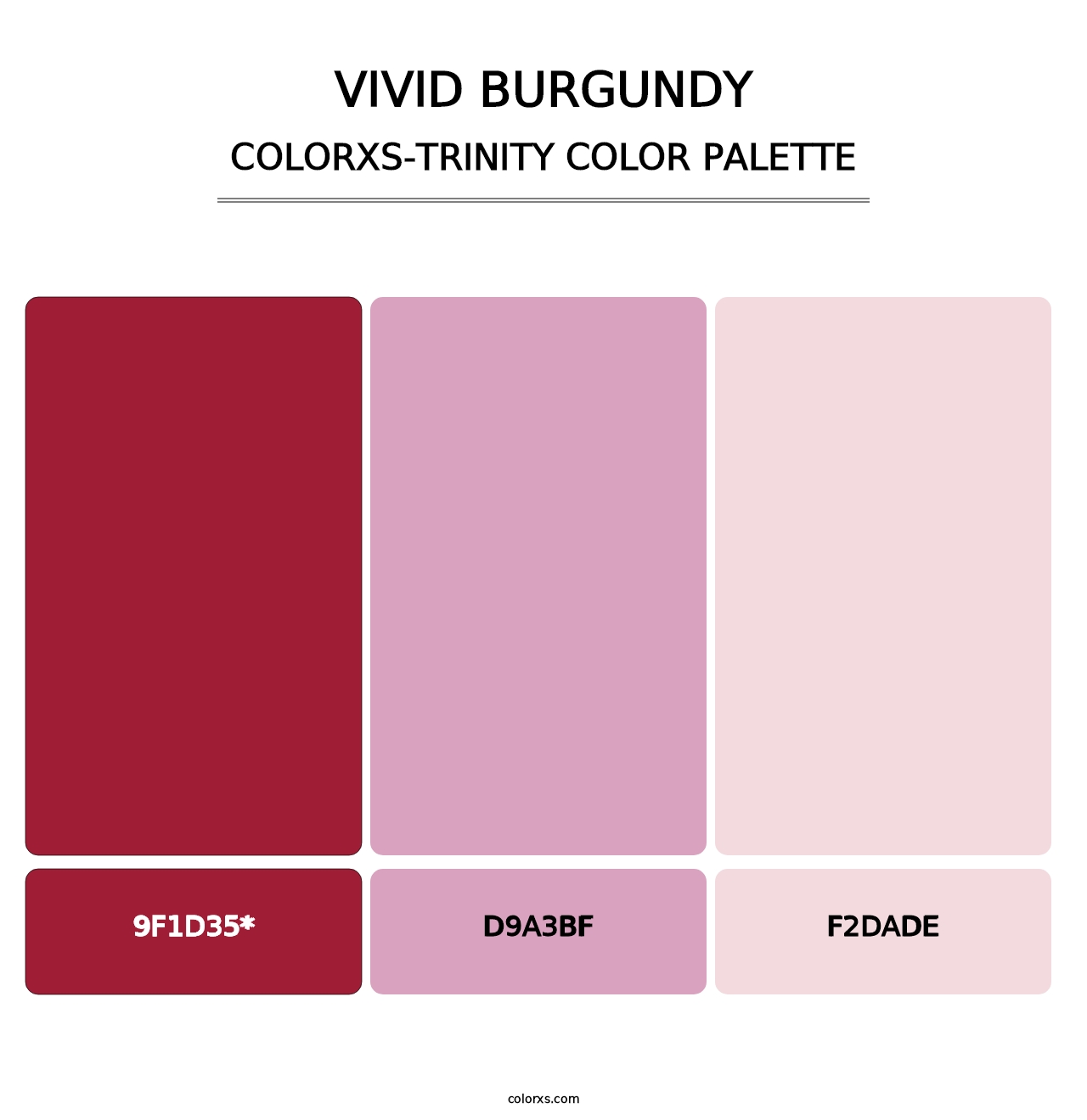 Vivid Burgundy - Colorxs Trinity Palette