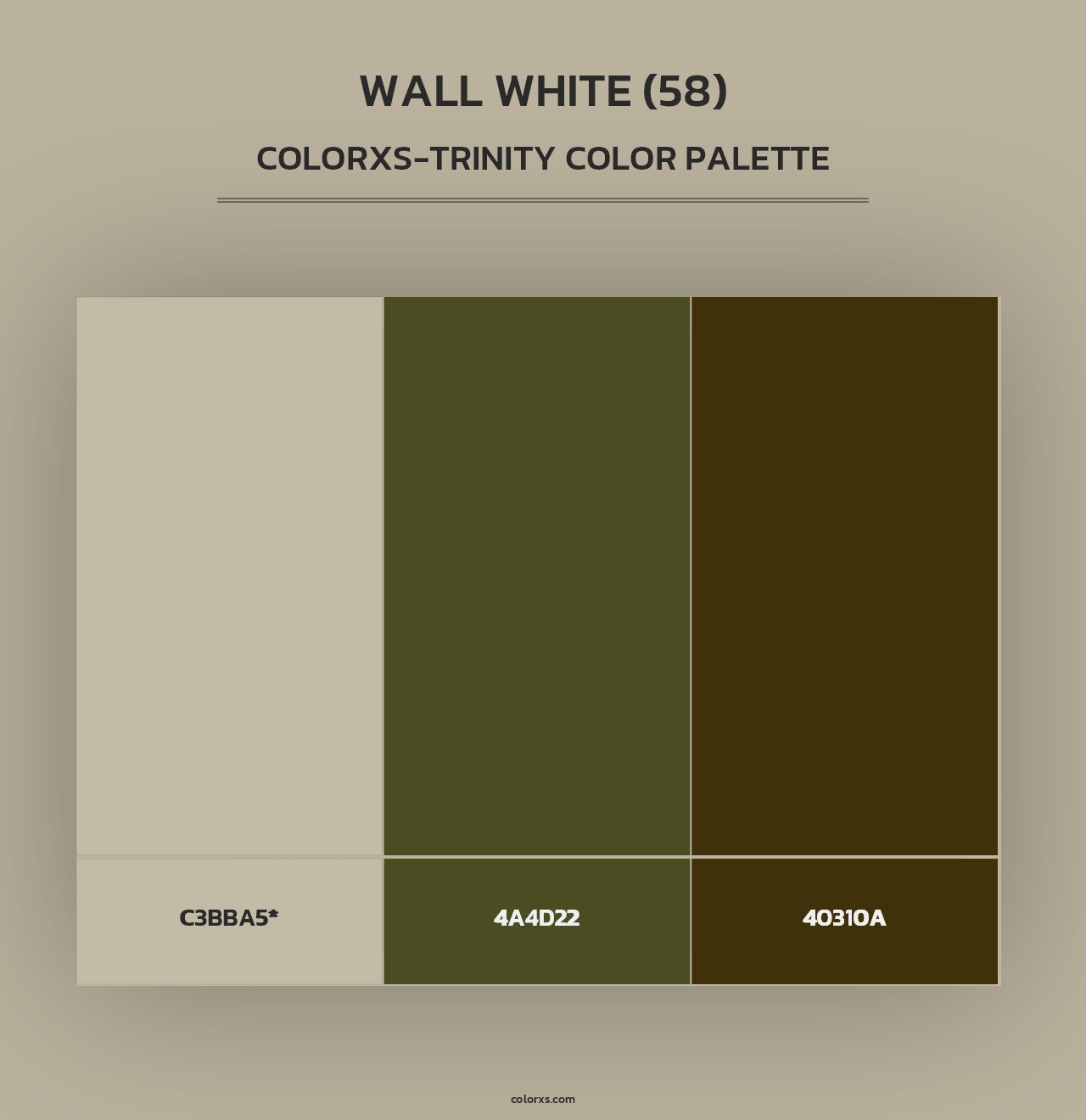 Wall White (58) - Colorxs Trinity Palette