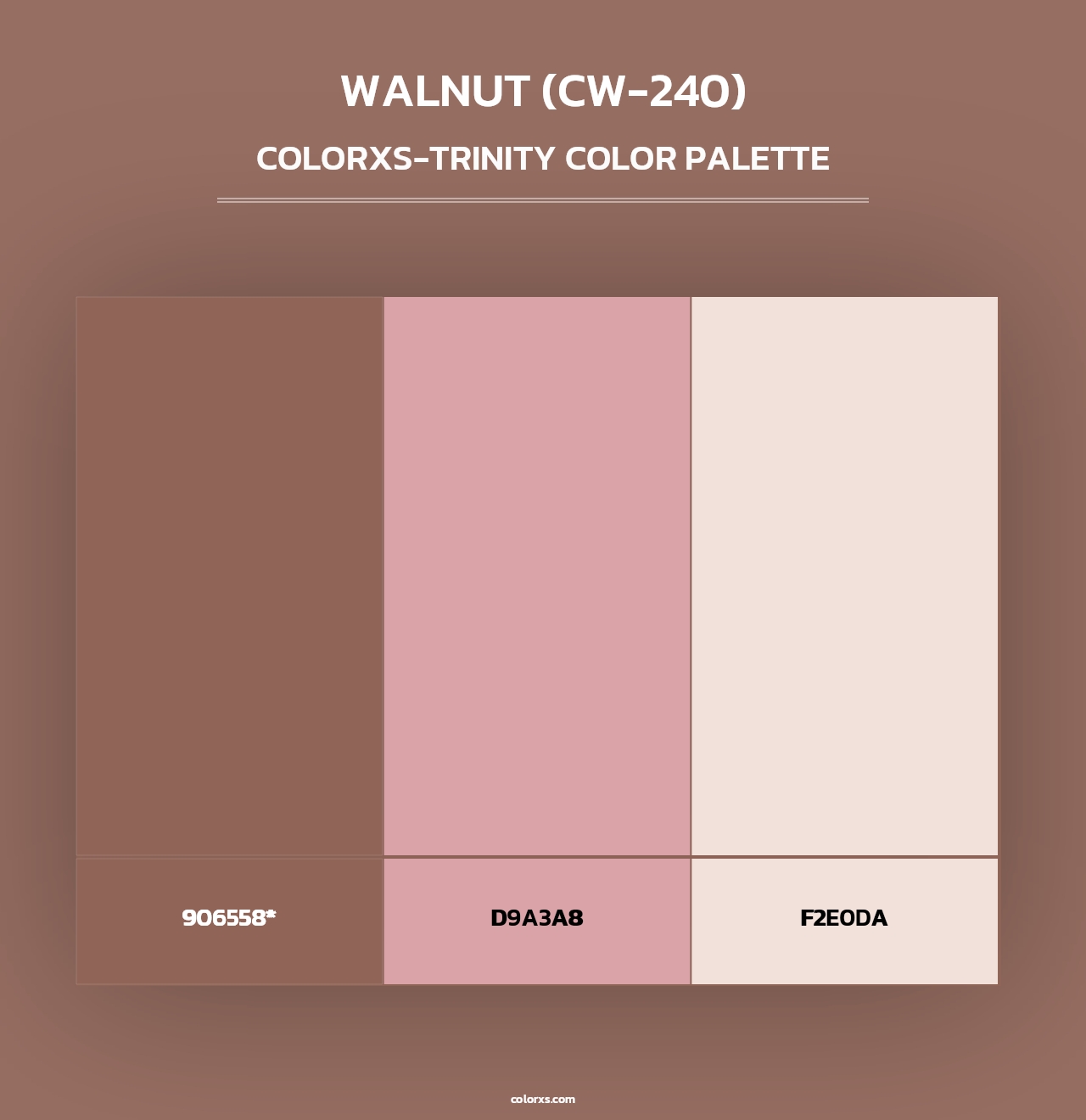 Walnut (CW-240) - Colorxs Trinity Palette