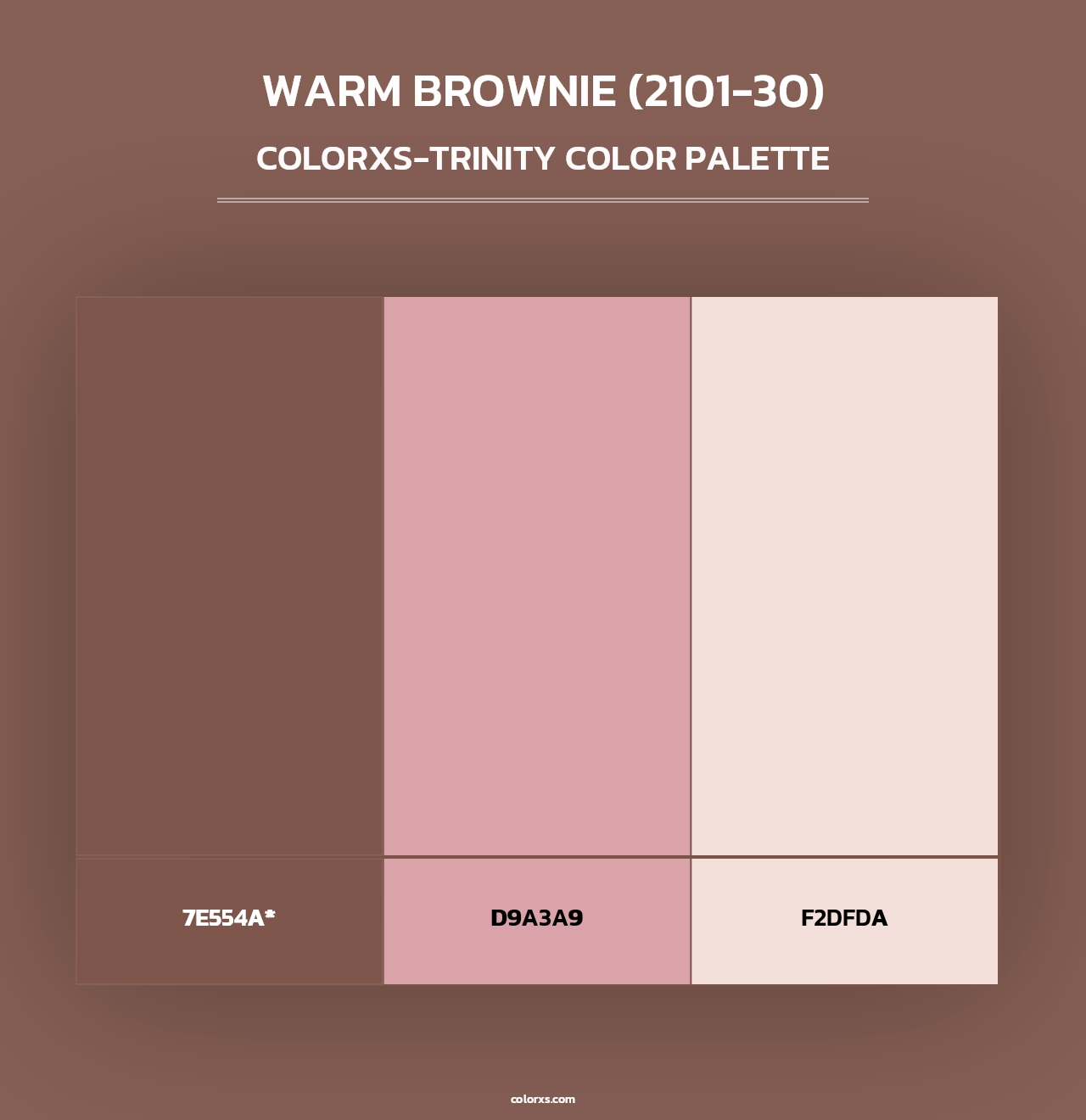Warm Brownie (2101-30) - Colorxs Trinity Palette