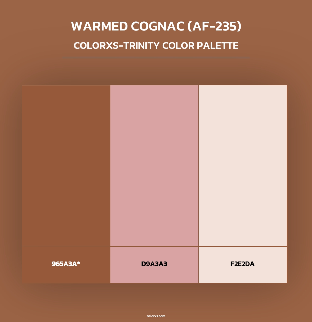 Warmed Cognac (AF-235) - Colorxs Trinity Palette