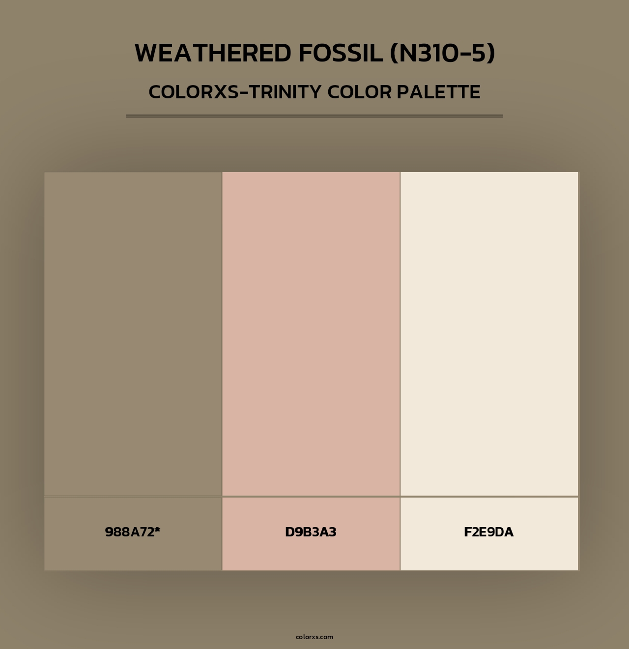 Weathered Fossil (N310-5) - Colorxs Trinity Palette