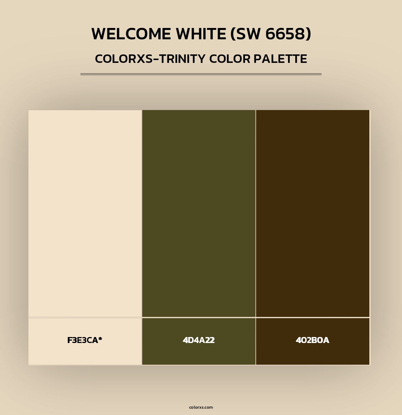 Welcome White (SW 6658) - Colorxs Trinity Palette