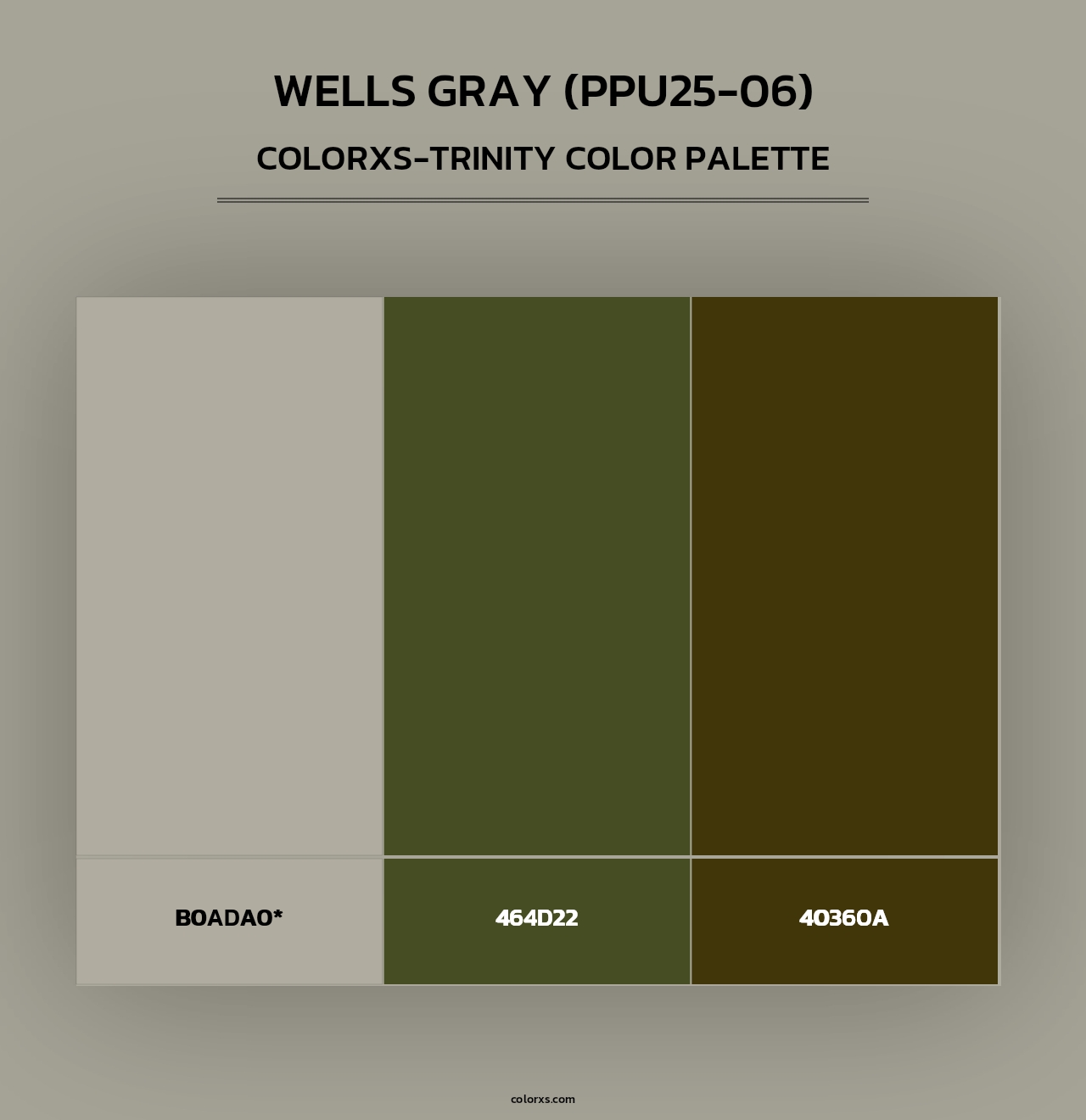 Wells Gray (PPU25-06) - Colorxs Trinity Palette