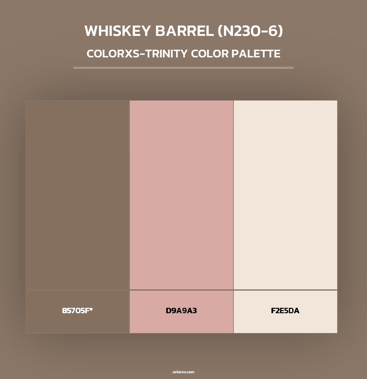 Whiskey Barrel (N230-6) - Colorxs Trinity Palette