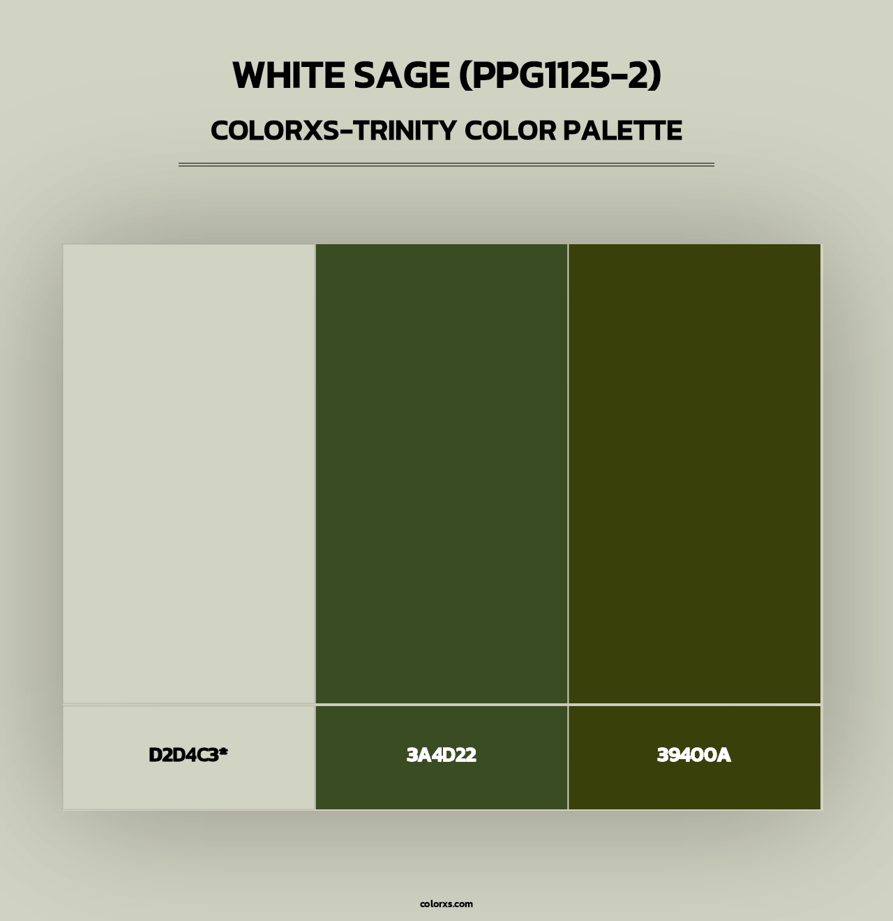White Sage (PPG1125-2) - Colorxs Trinity Palette