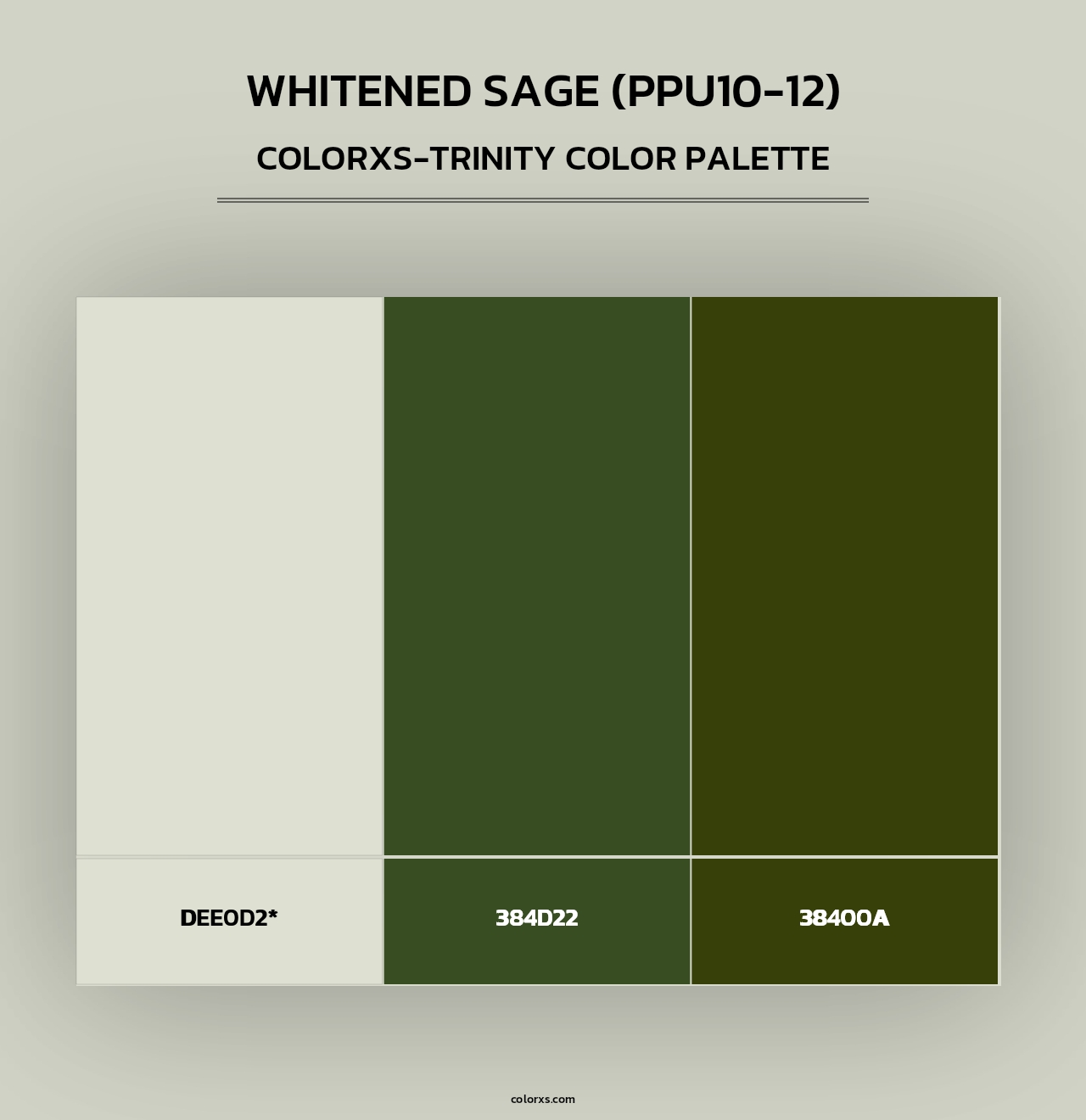 Whitened Sage (PPU10-12) - Colorxs Trinity Palette