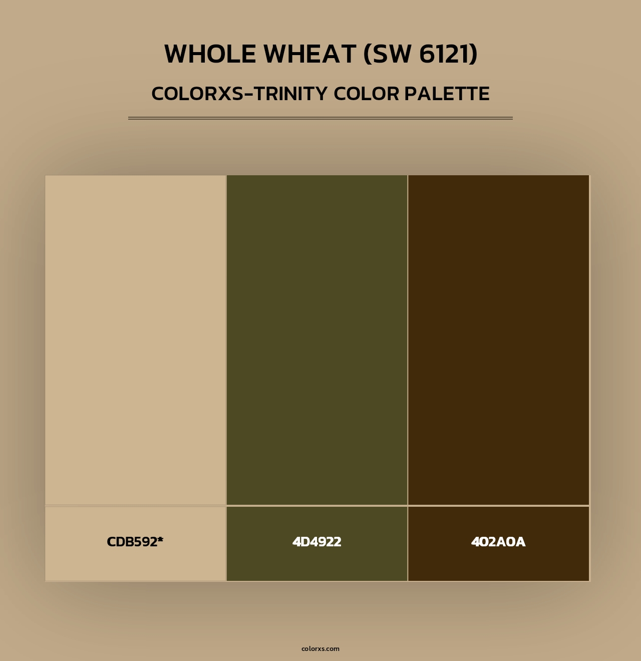 Whole Wheat (SW 6121) - Colorxs Trinity Palette