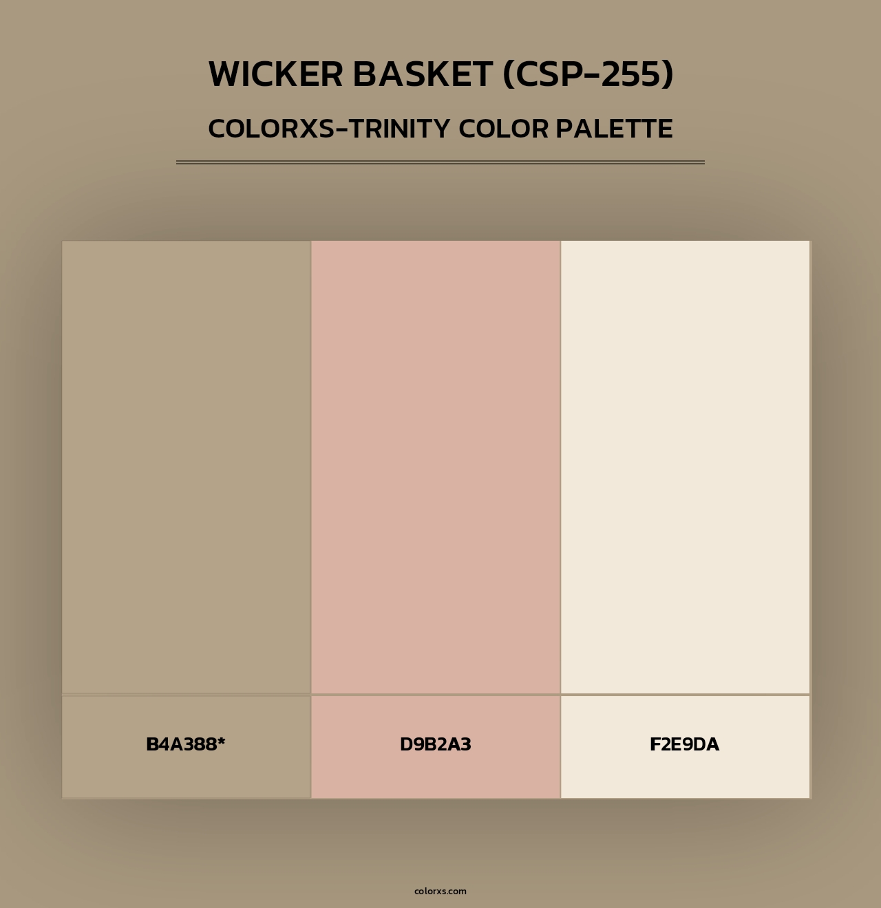 Wicker Basket (CSP-255) - Colorxs Trinity Palette