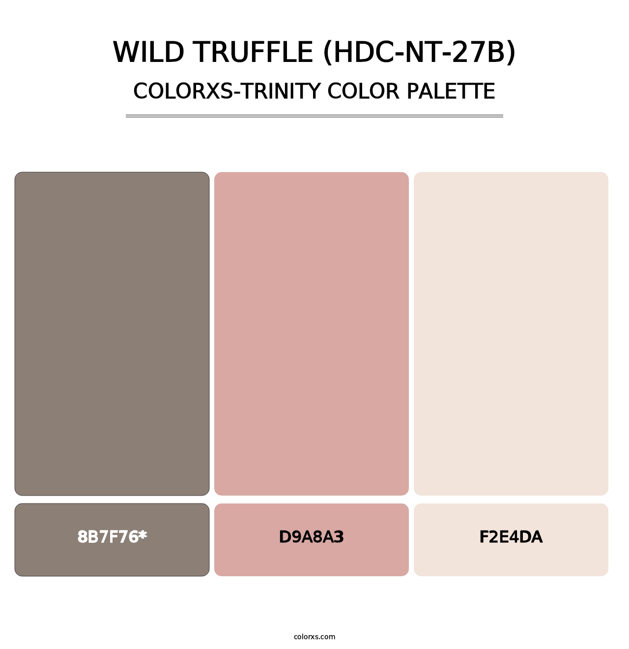 Wild Truffle (HDC-NT-27B) - Colorxs Trinity Palette