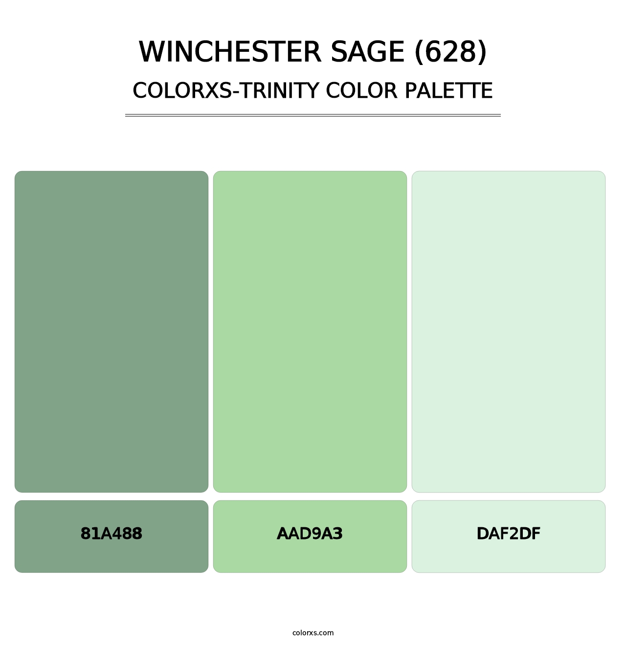 Winchester Sage (628) - Colorxs Trinity Palette