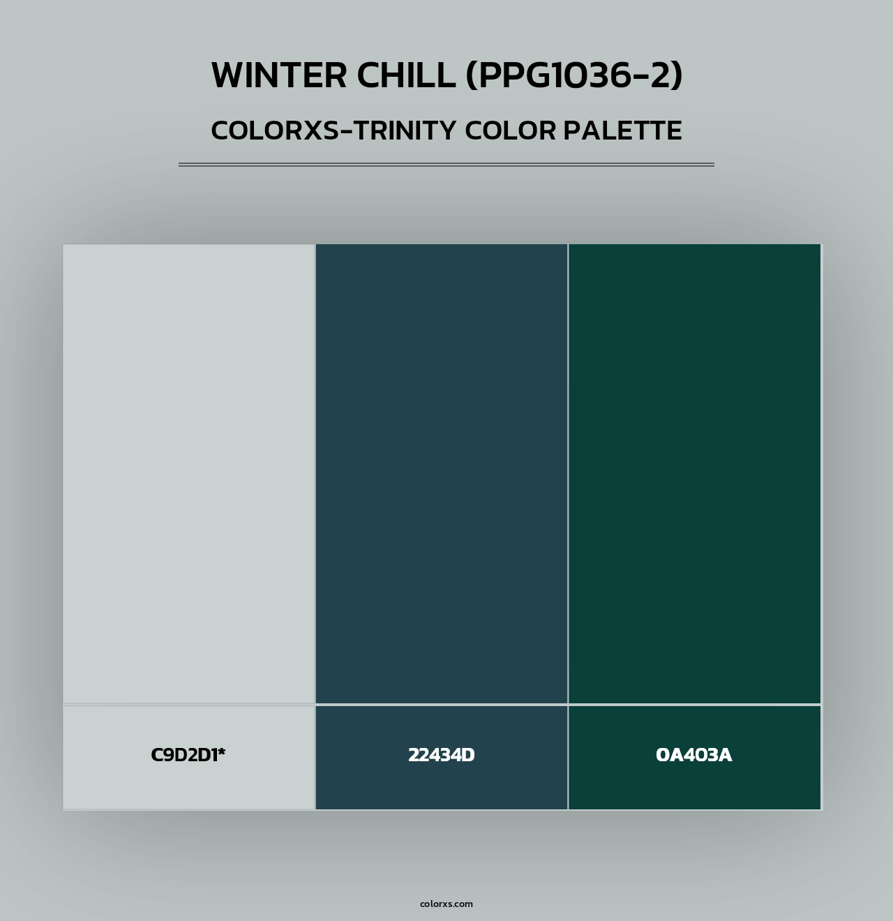 Winter Chill (PPG1036-2) - Colorxs Trinity Palette