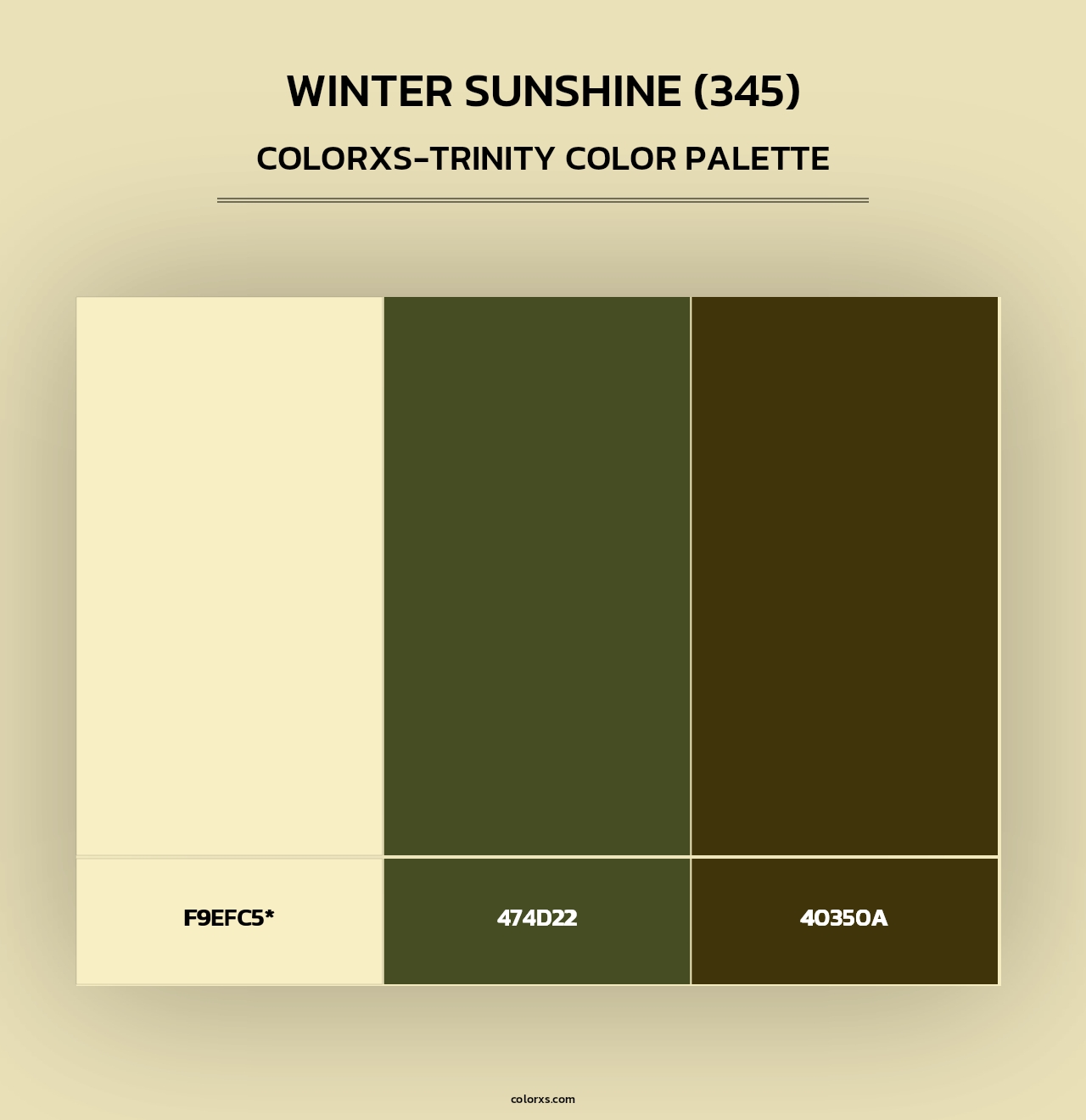 Winter Sunshine (345) - Colorxs Trinity Palette