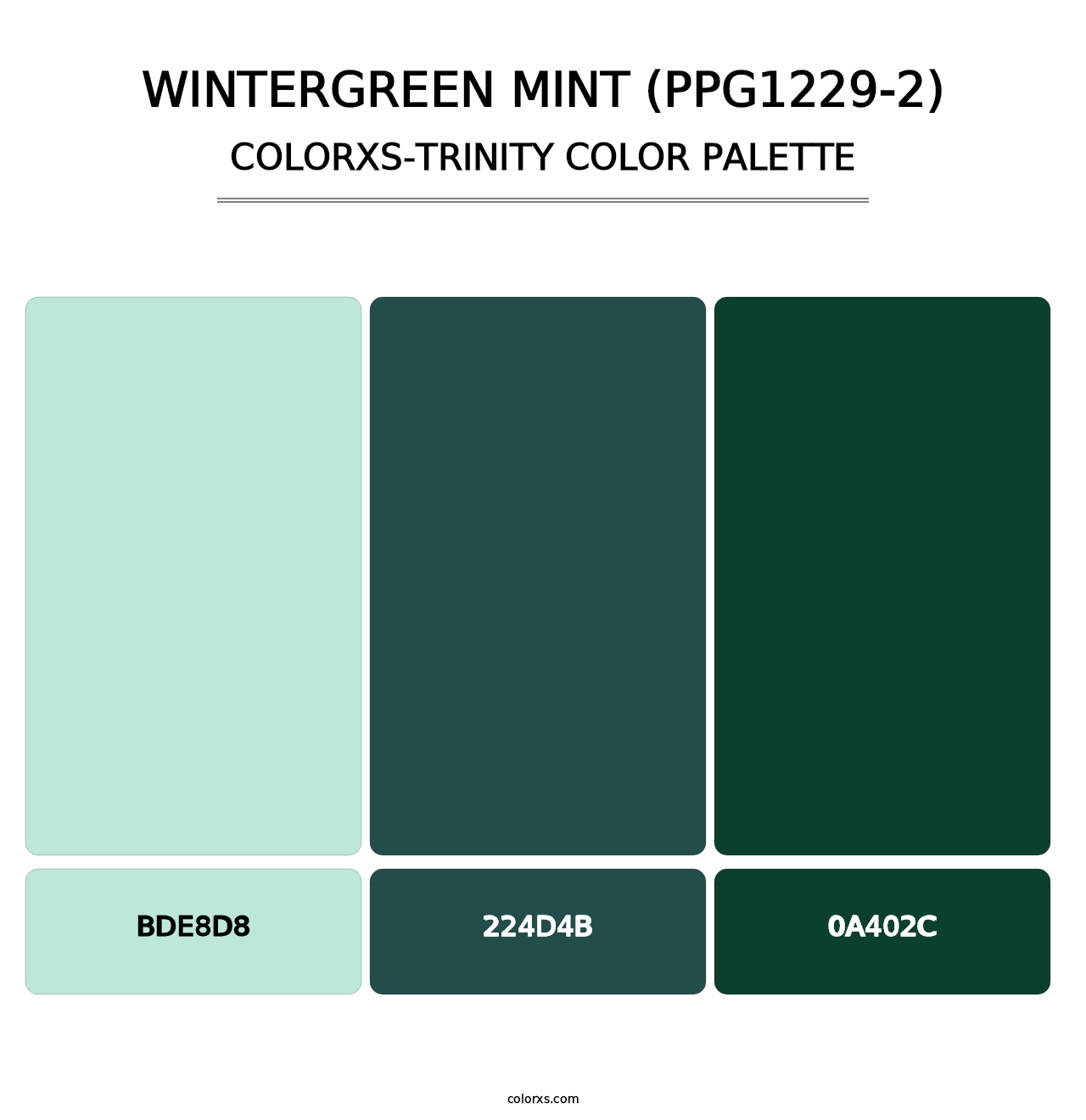 Wintergreen Mint (PPG1229-2) - Colorxs Trinity Palette