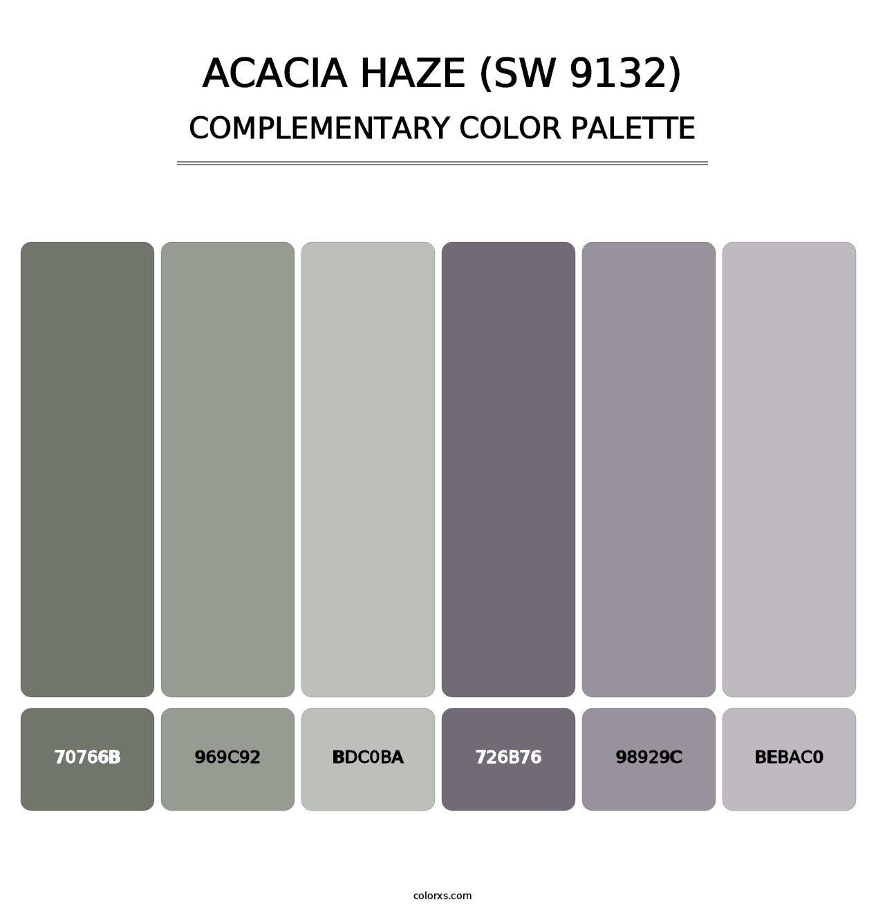 Acacia Haze (SW 9132) - Complementary Color Palette