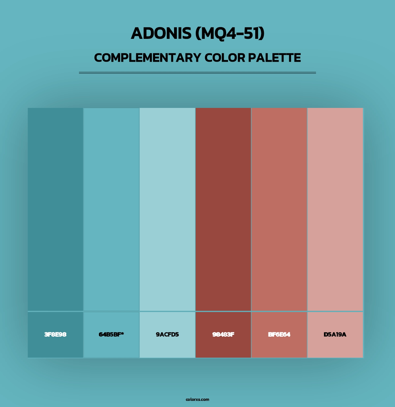 Adonis (MQ4-51) - Complementary Color Palette