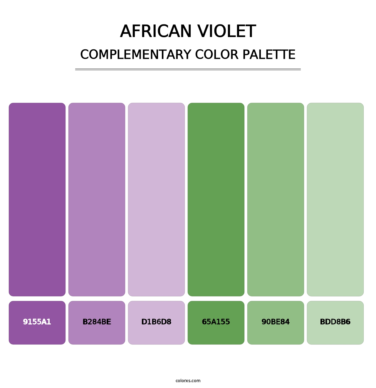 African Violet - Complementary Color Palette