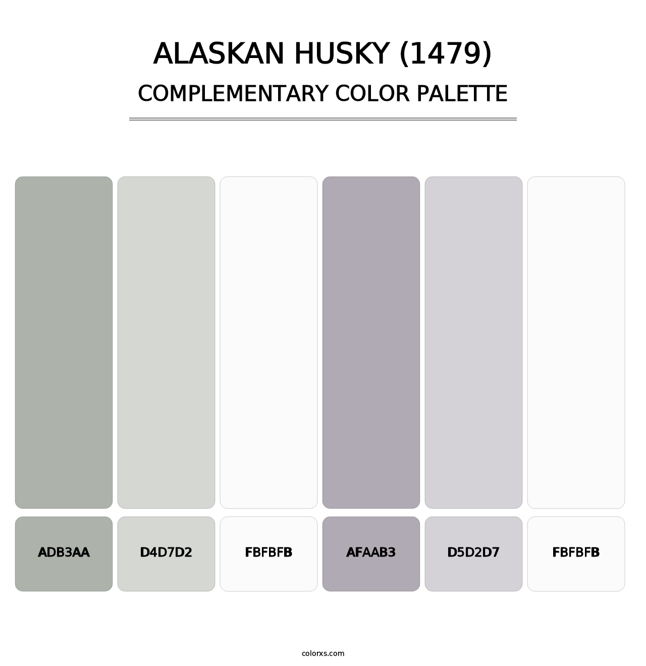 Alaskan Husky (1479) - Complementary Color Palette