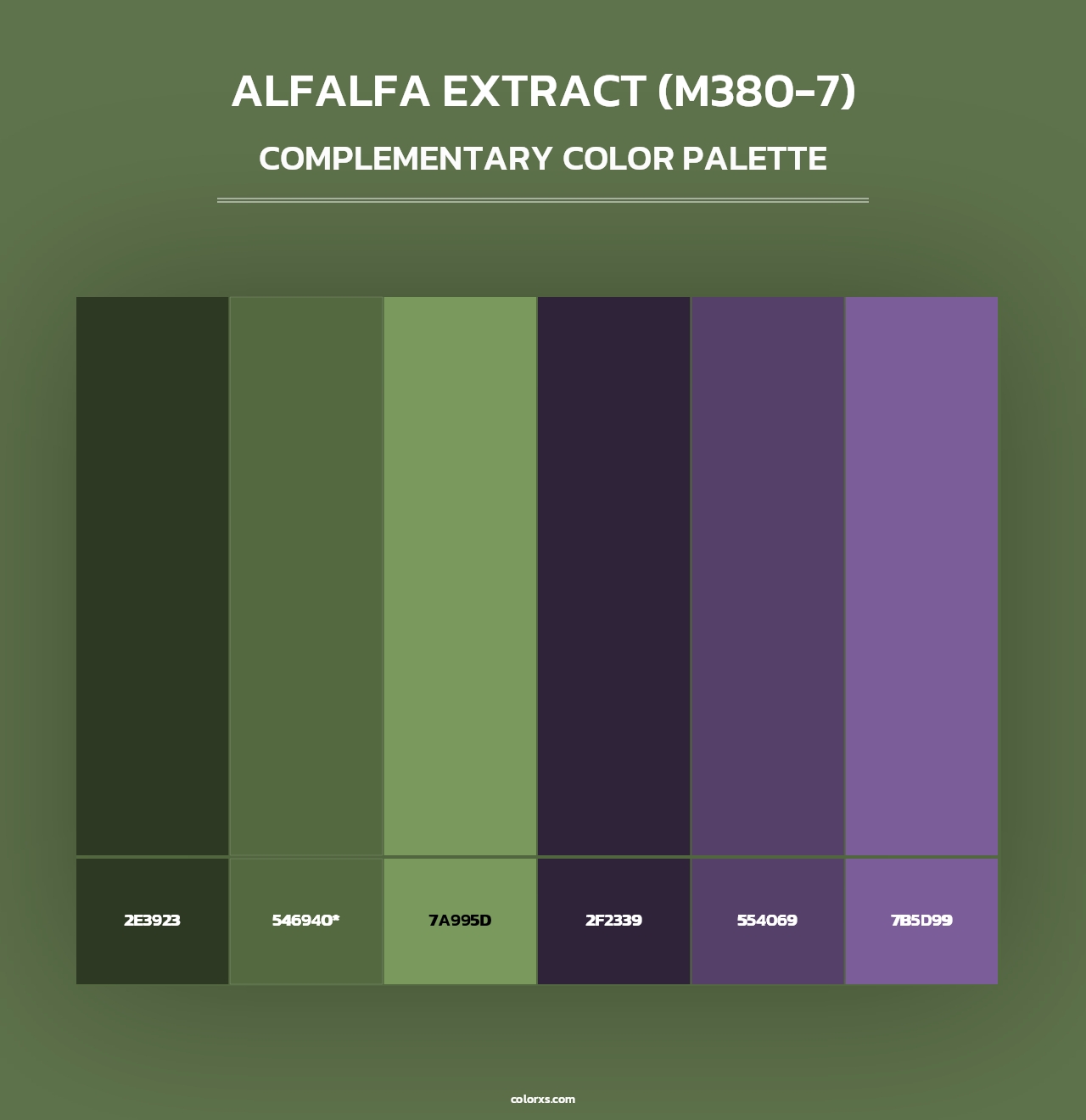 Alfalfa Extract (M380-7) - Complementary Color Palette