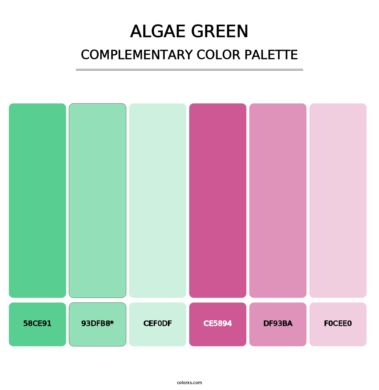 Algae Green - Complementary Color Palette