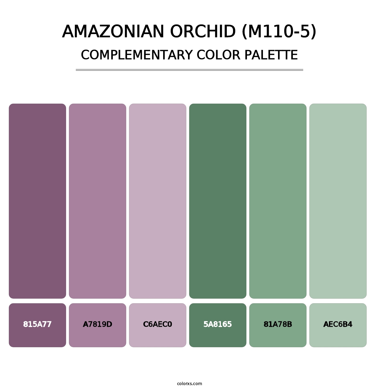 Amazonian Orchid (M110-5) - Complementary Color Palette